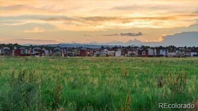 MLS Image #29 for 2889  merry rest way,castle rock, Colorado