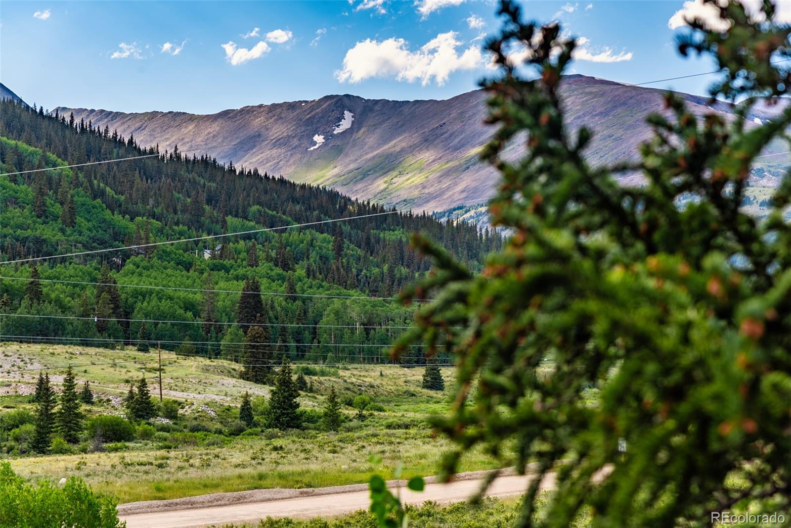 MLS Image #2 for 1772  cr-4 ,alma, Colorado