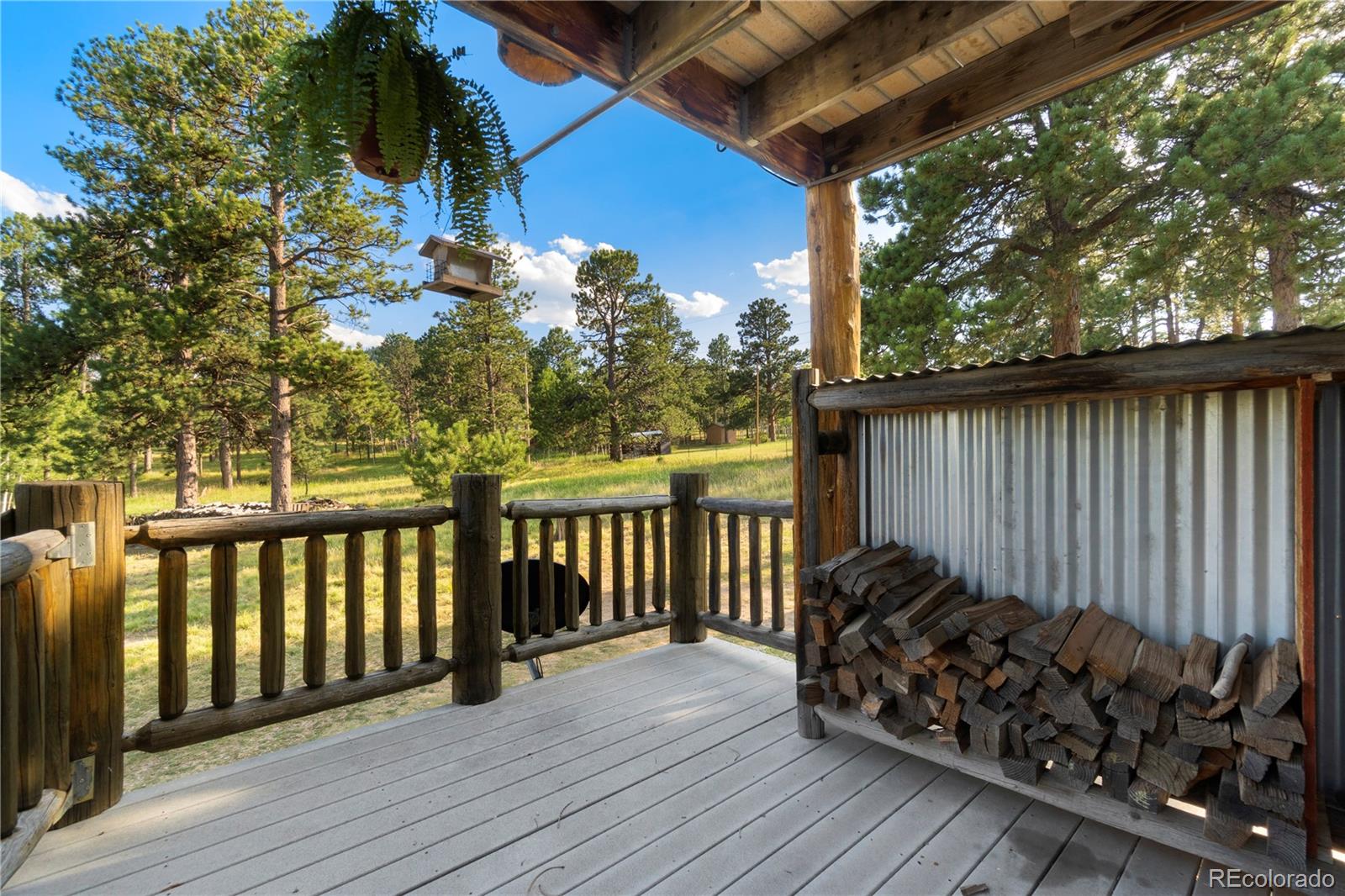 MLS Image #26 for 156  pinon road,bailey, Colorado