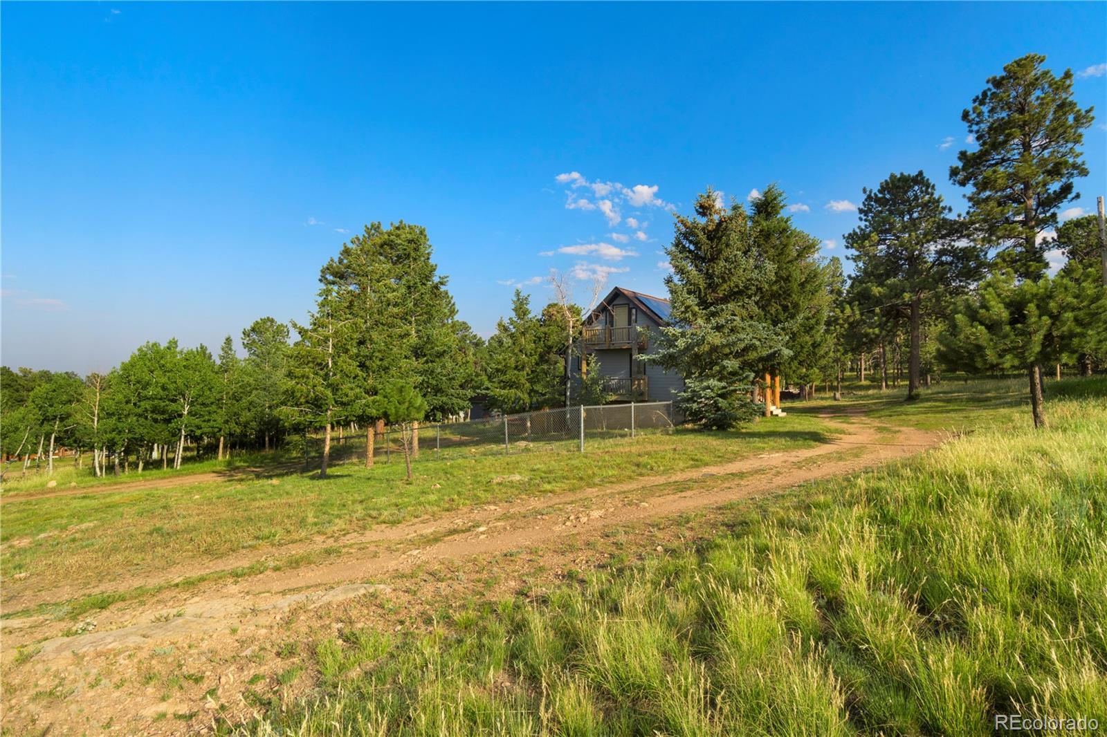 MLS Image #28 for 156  pinon road,bailey, Colorado