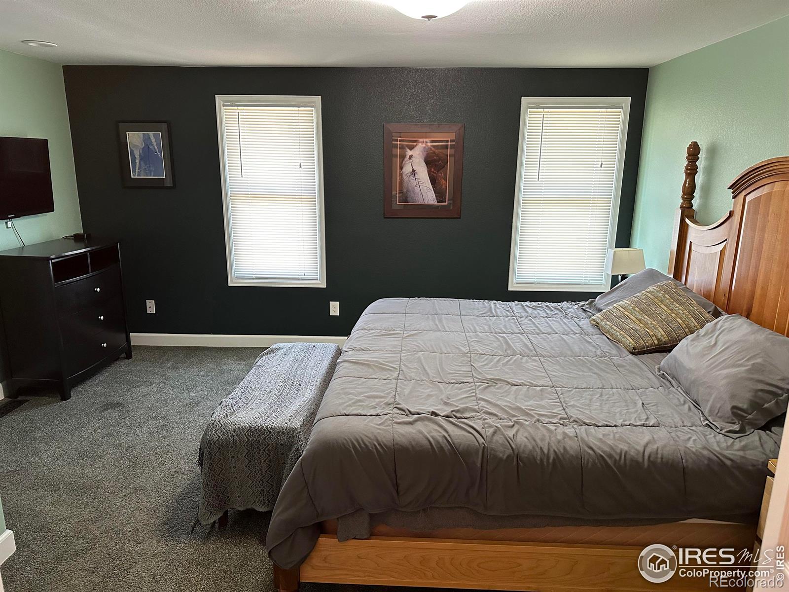 MLS Image #11 for 1852  kinnikinnik place,loveland, Colorado