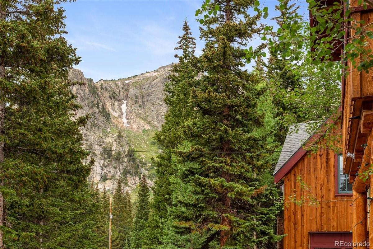 MLS Image #29 for 1194  mine road,idaho springs, Colorado