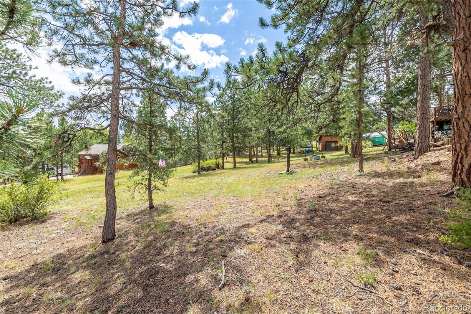 MLS Image #10 for 34214  iroquois trail,pine, Colorado