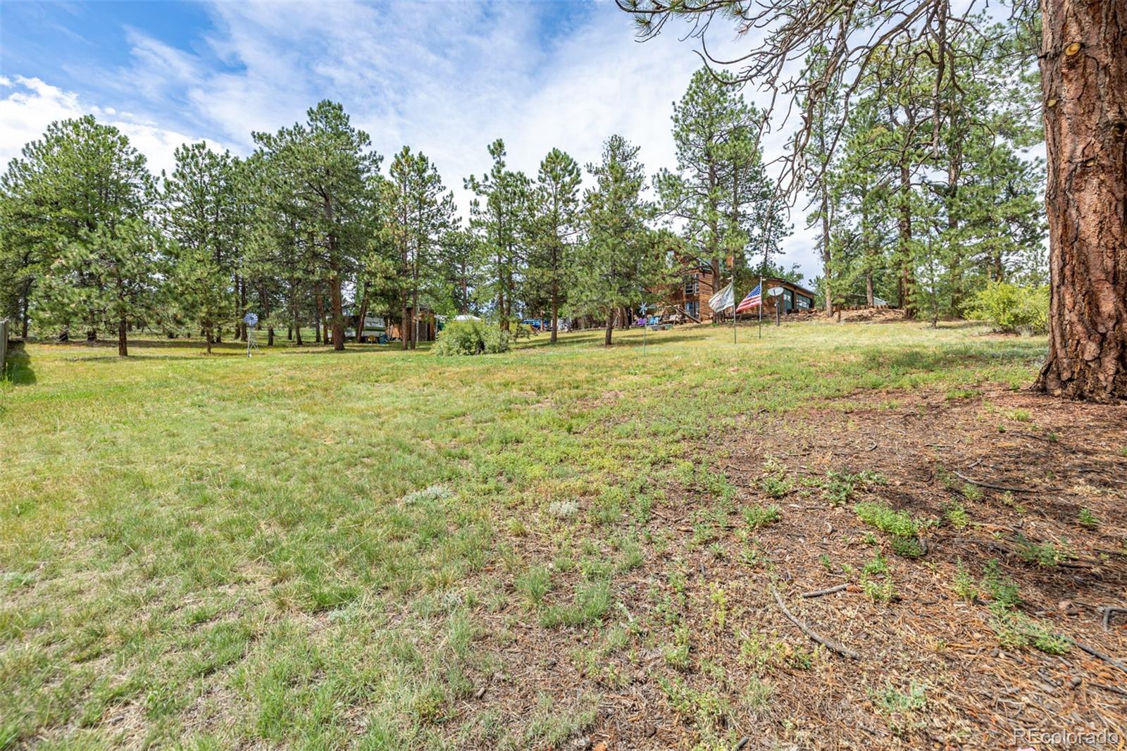 MLS Image #19 for 34214  iroquois trail,pine, Colorado