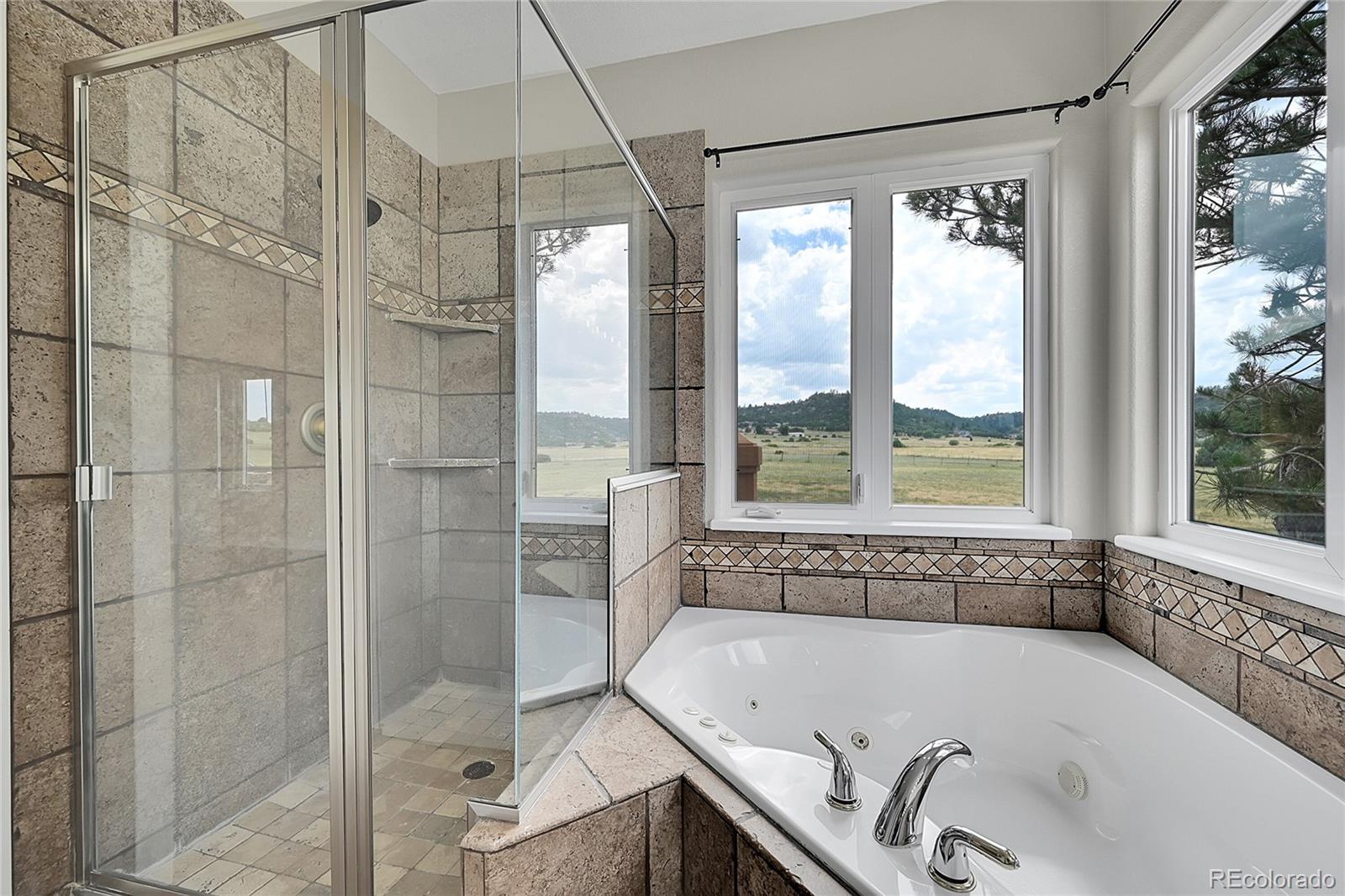 MLS Image #21 for 1685  castlewood drive,franktown, Colorado