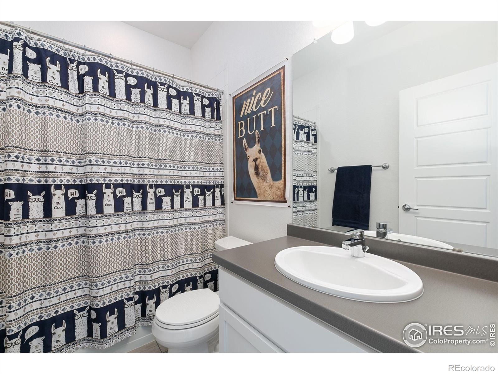 MLS Image #19 for 5927  denys drive,timnath, Colorado