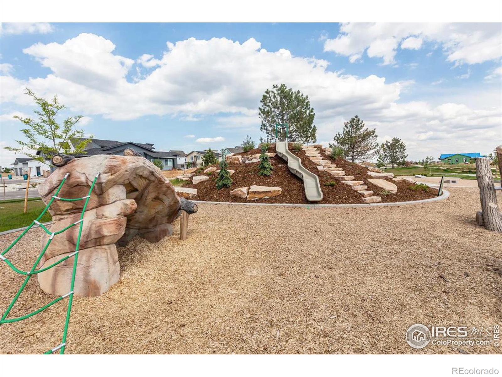 MLS Image #23 for 5927  denys drive,timnath, Colorado