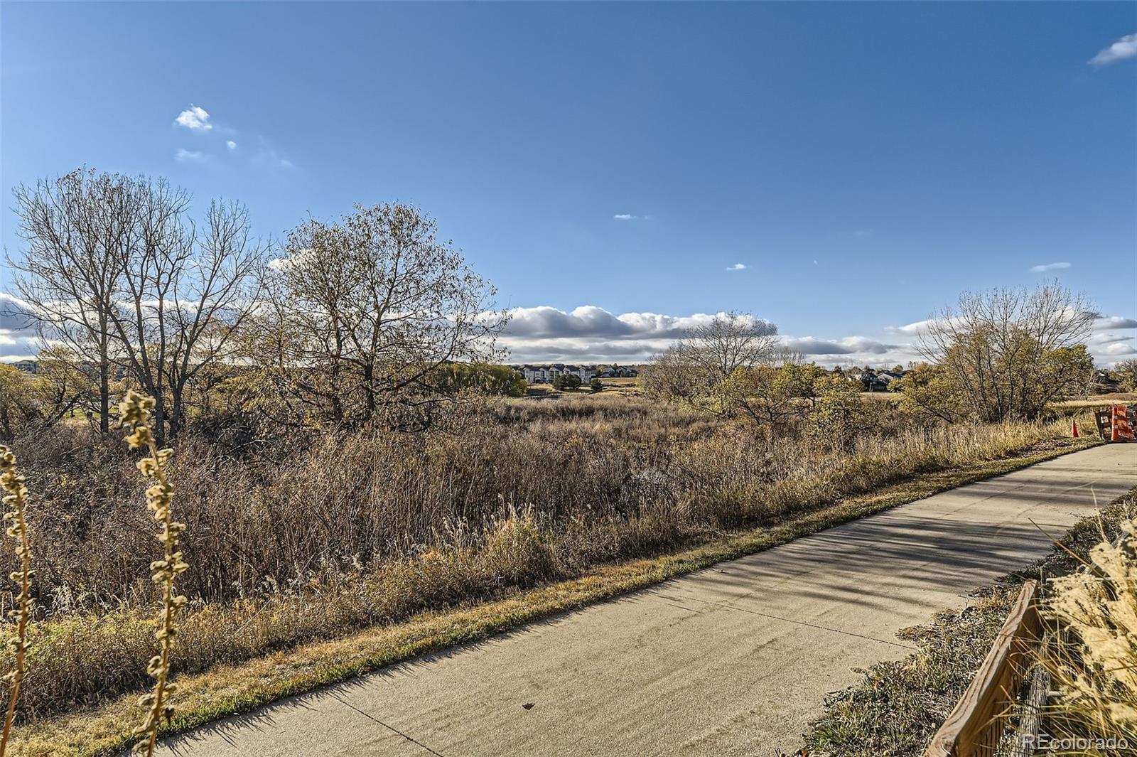 MLS Image #27 for 13031 s bonney street,parker, Colorado