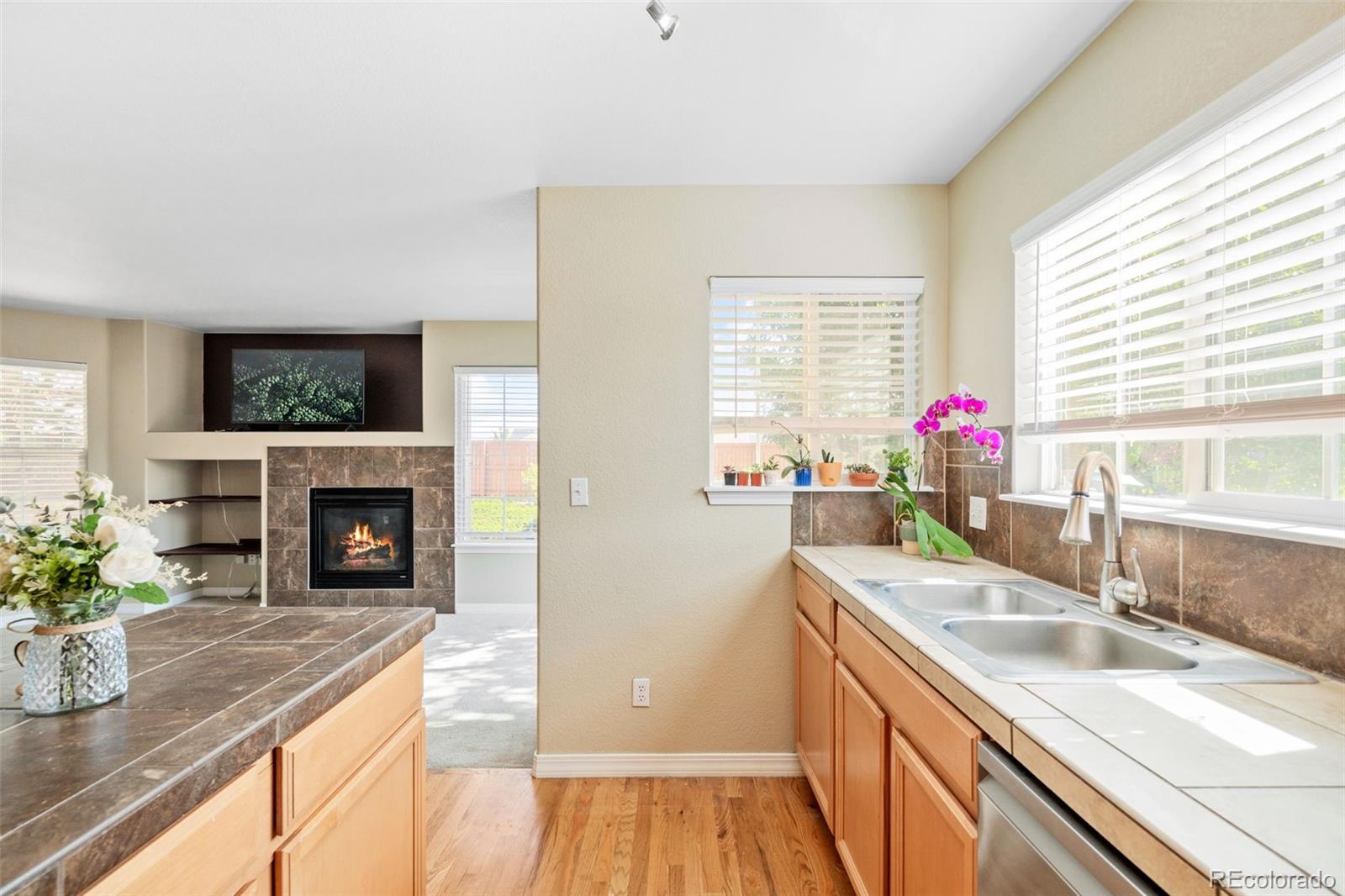 MLS Image #4 for 15800 e 121st avenue,brighton, Colorado