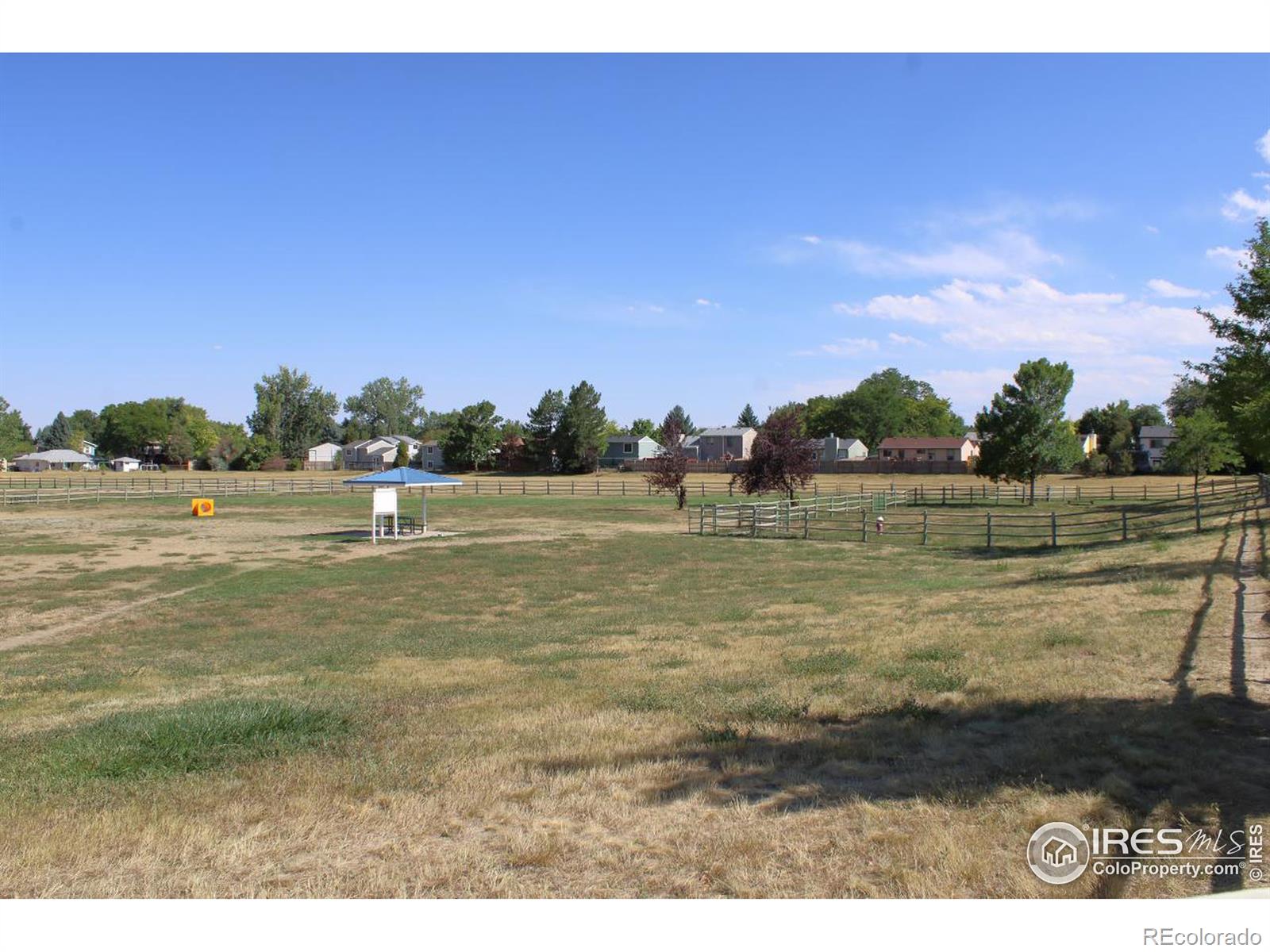 MLS Image #31 for 2168  tulip street,longmont, Colorado