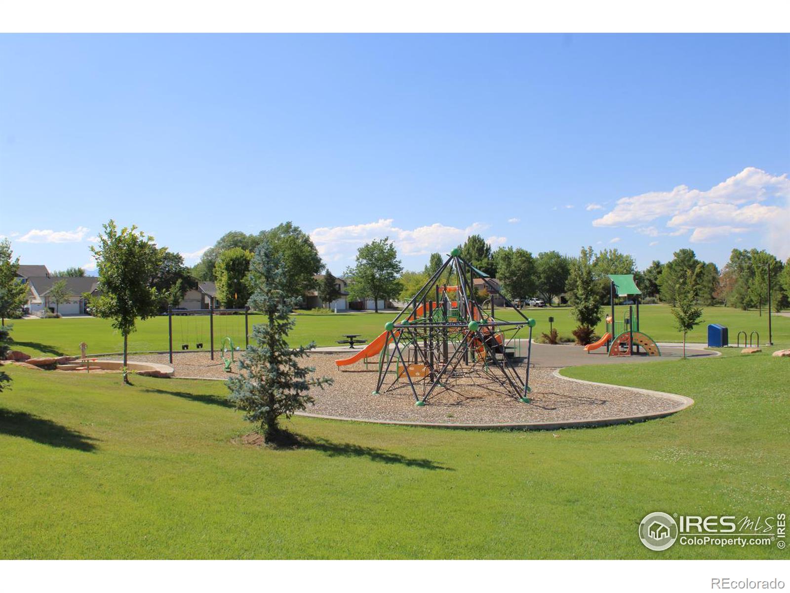 MLS Image #34 for 2168  tulip street,longmont, Colorado