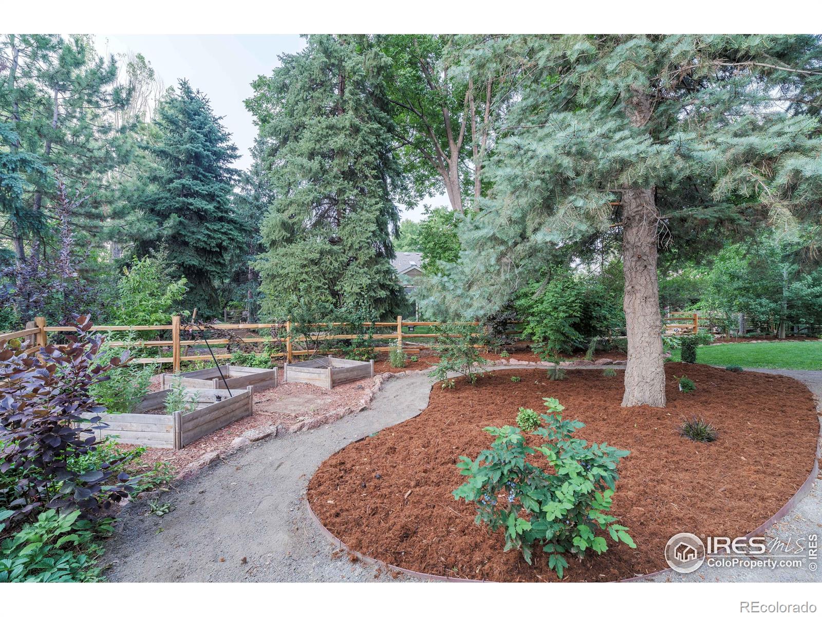 MLS Image #24 for 8119  rye court,niwot, Colorado