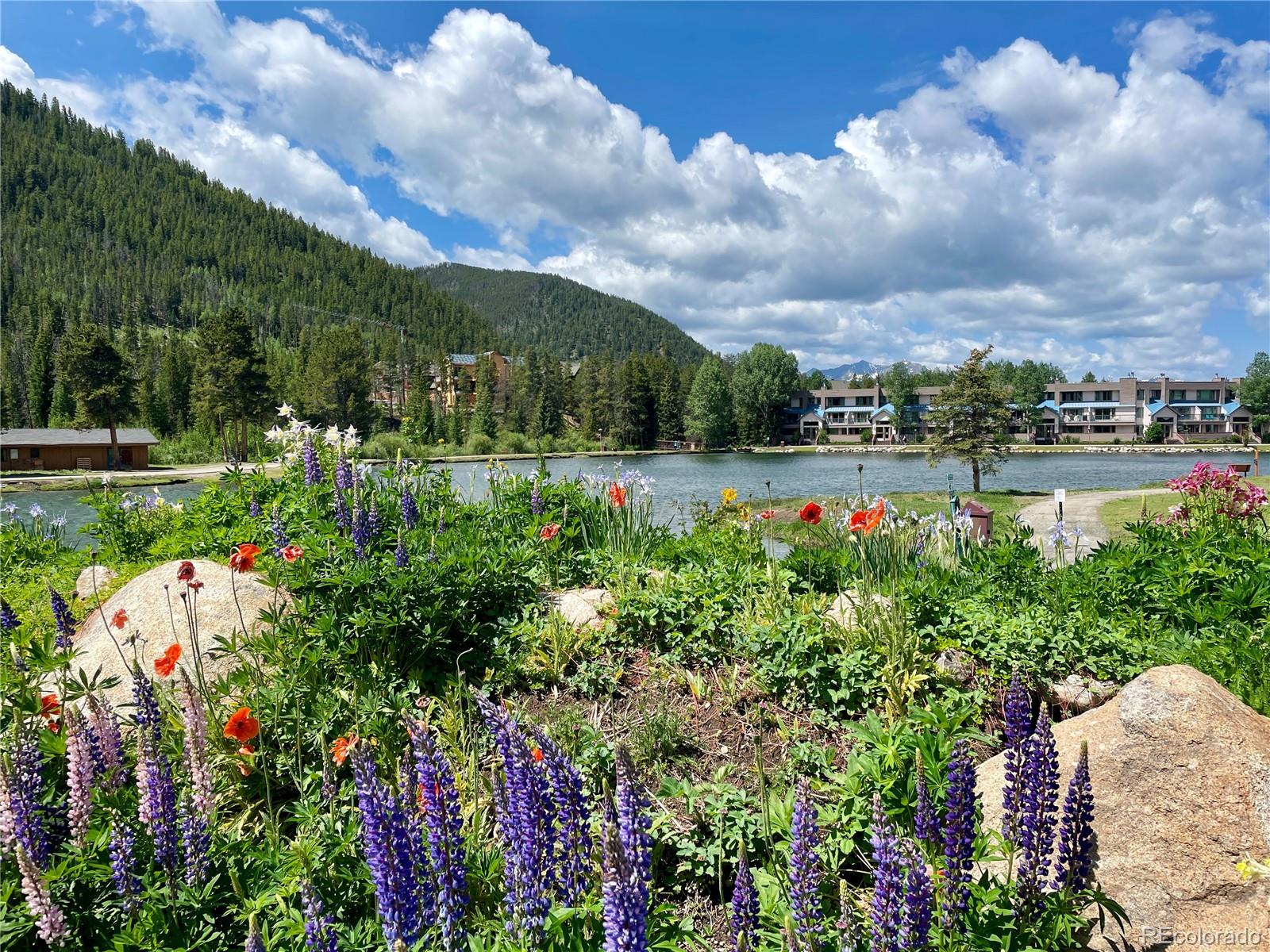 MLS Image #0 for 22300  us highway 6  1745,keystone, Colorado