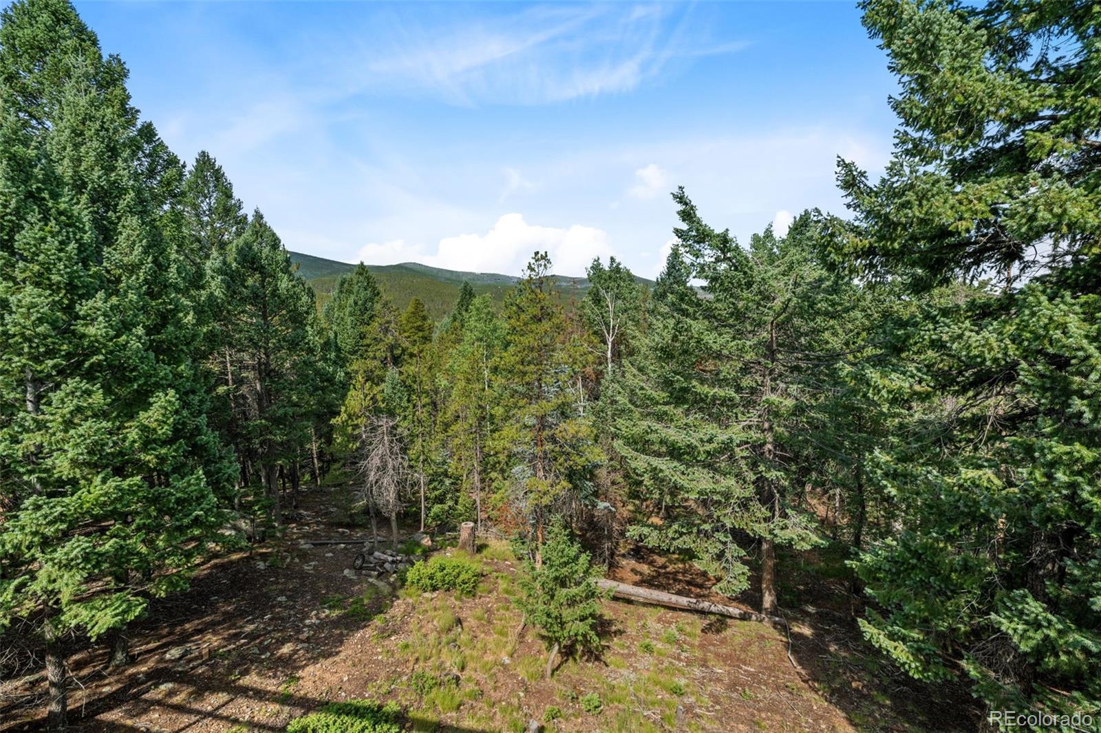 MLS Image #21 for 8351  london lane,conifer, Colorado