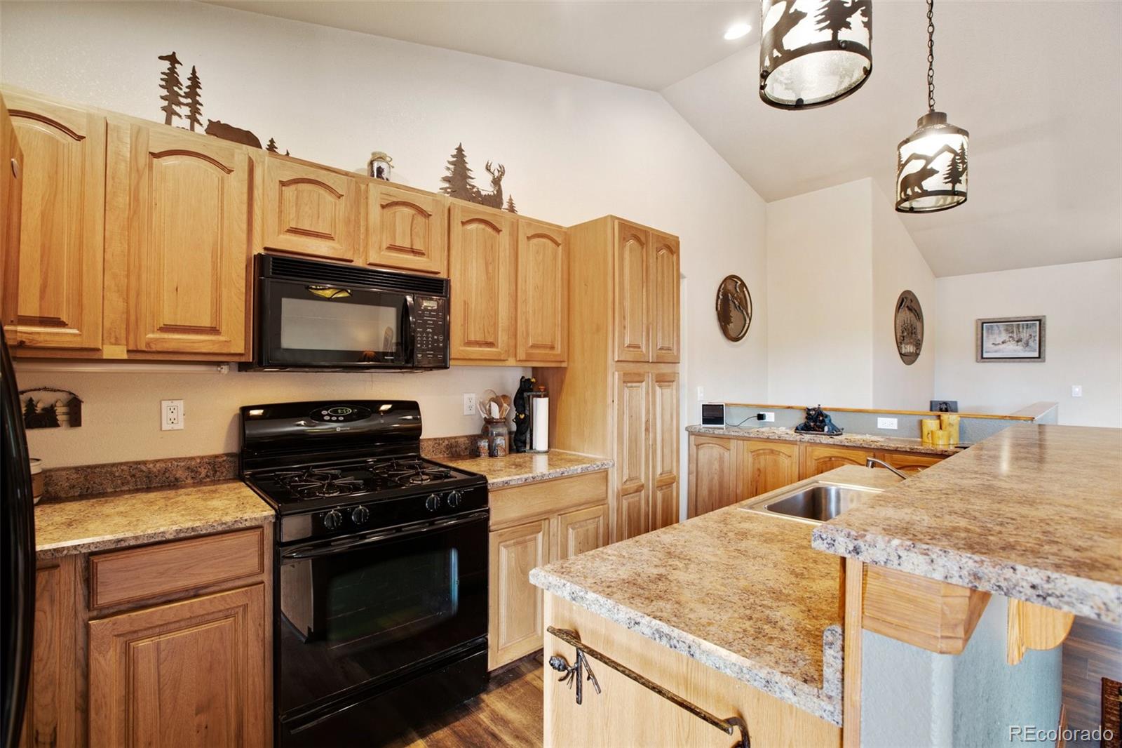 MLS Image #15 for 406  hopi trail,woodland park, Colorado