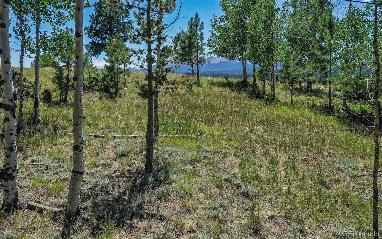 MLS Image #39 for 406  hopi trail,woodland park, Colorado