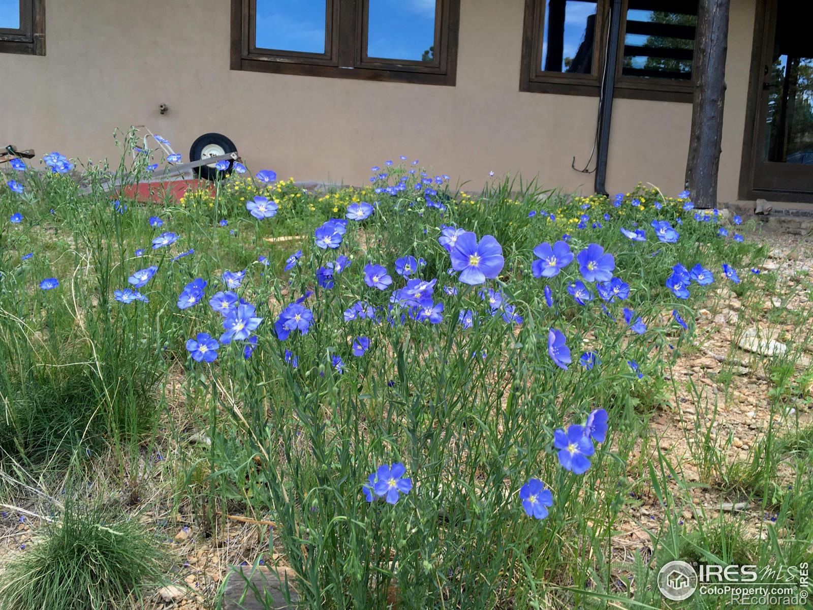 MLS Image #19 for 591  primos road,boulder, Colorado