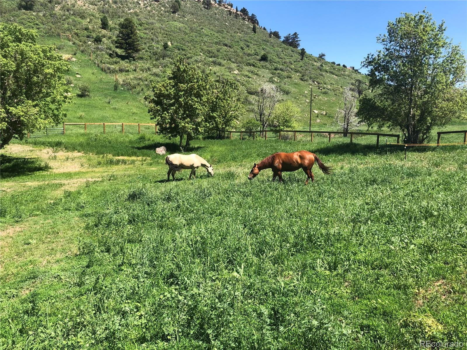 MLS Image #29 for 5520  pine ridge road,golden, Colorado