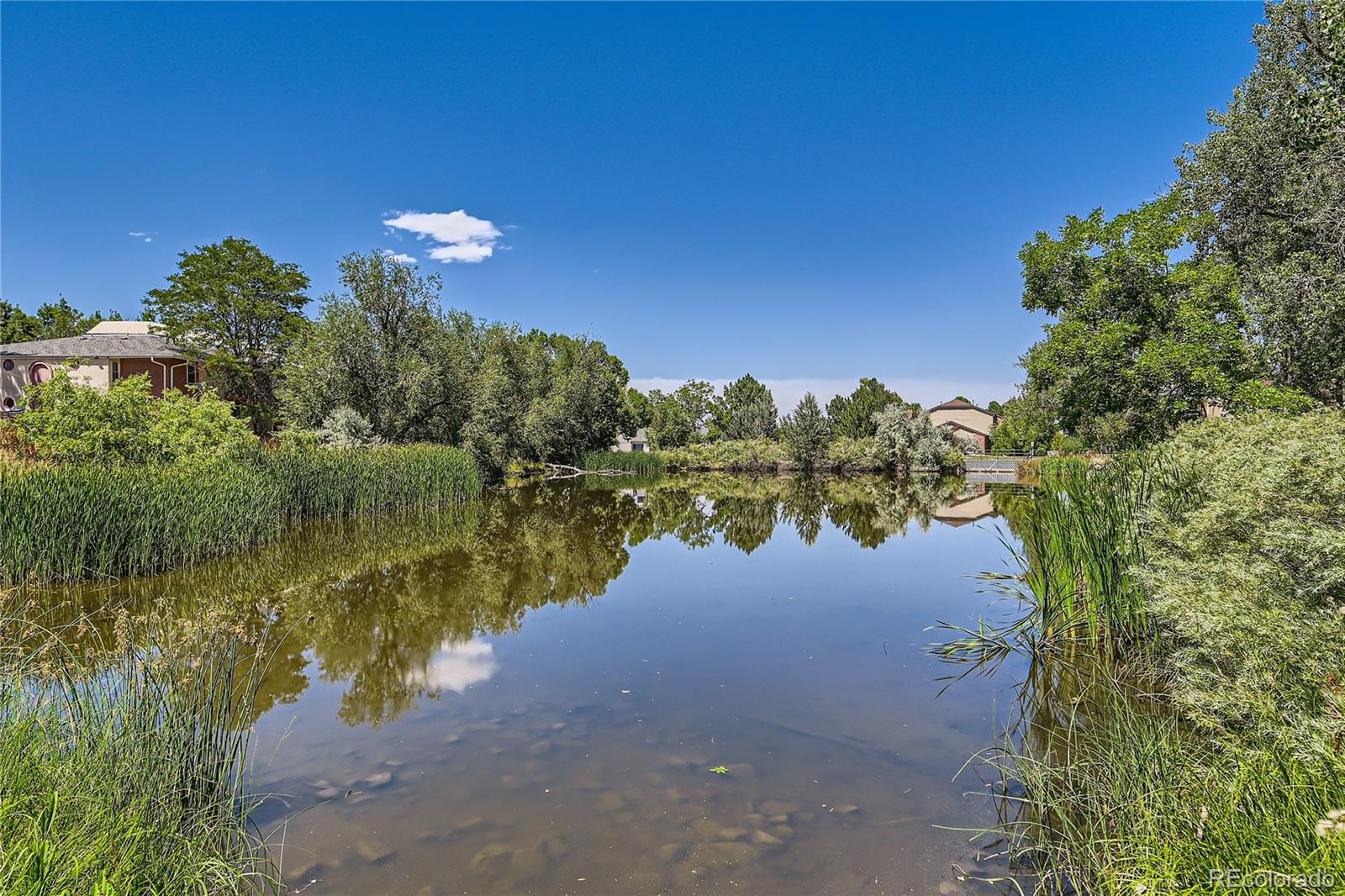 MLS Image #28 for 12163  melody drive,denver, Colorado