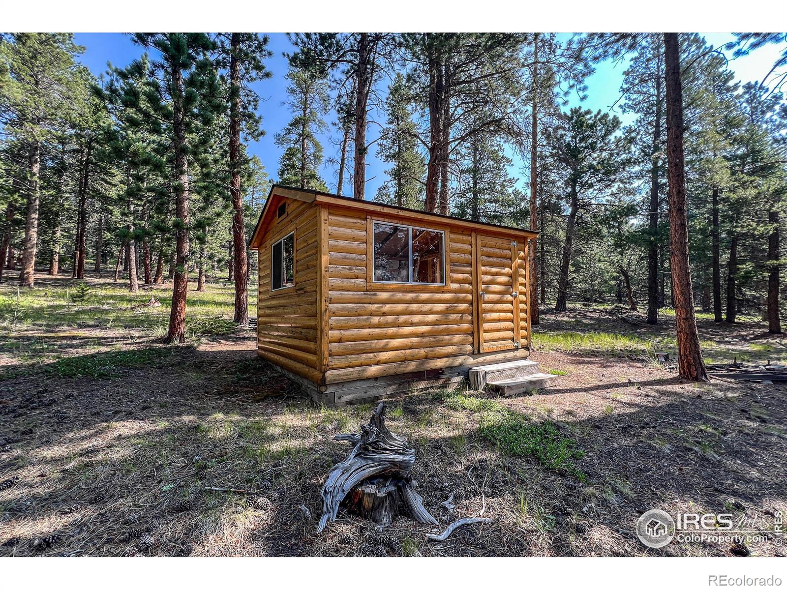 MLS Image #32 for 1930  big owl road,allenspark, Colorado