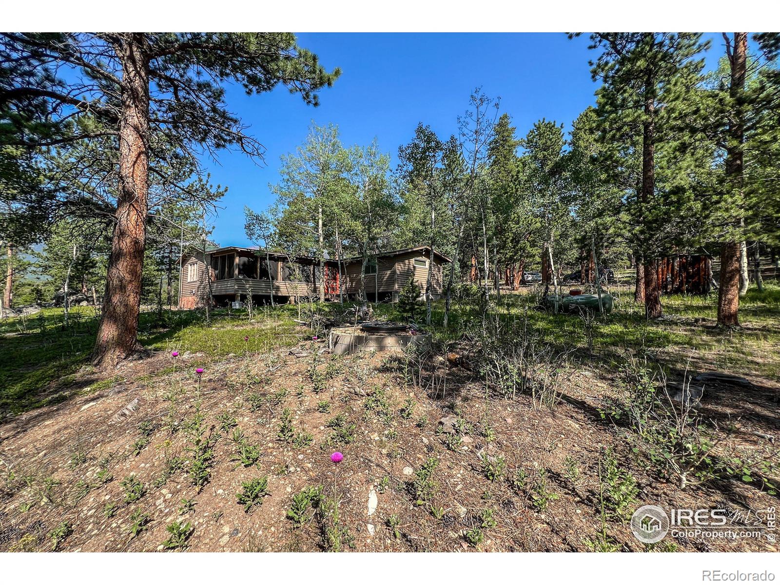 MLS Image #37 for 1930  big owl road,allenspark, Colorado