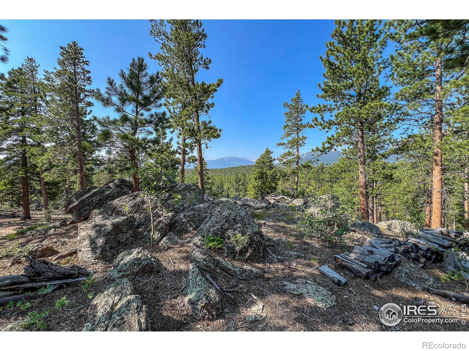 MLS Image #39 for 1930  big owl road,allenspark, Colorado