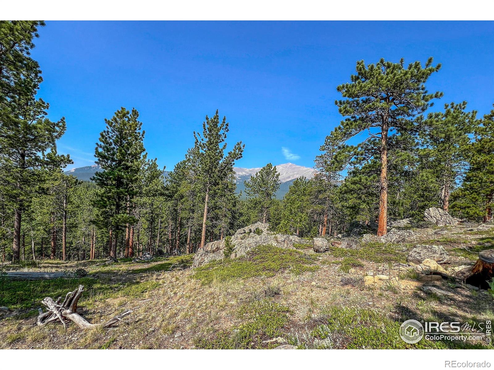 MLS Image #7 for 1930  big owl road,allenspark, Colorado