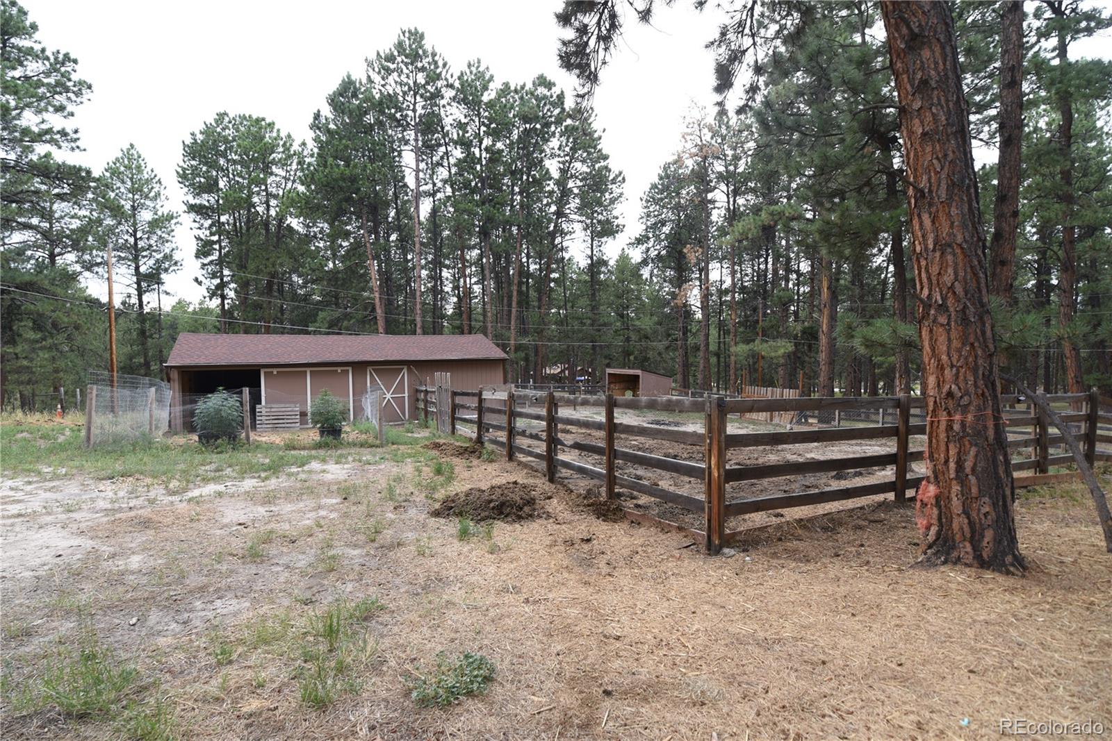 MLS Image #28 for 4724  deer trail,elizabeth, Colorado