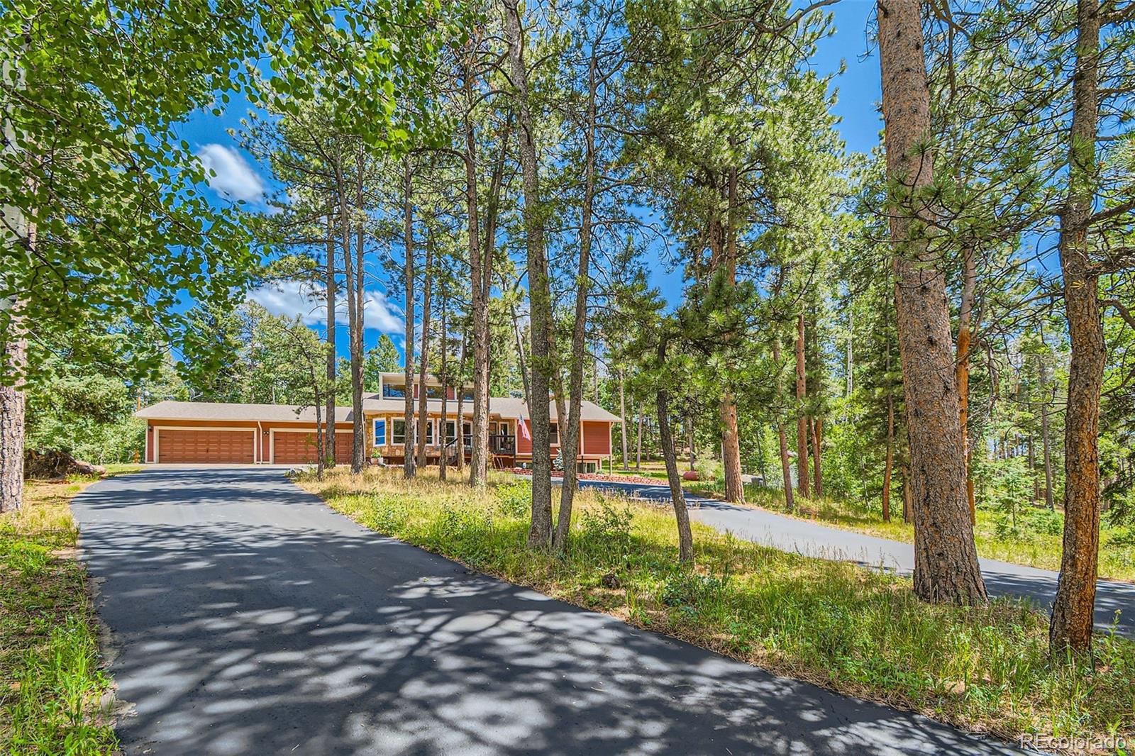 MLS Image #4 for 11034  cordingly road,conifer, Colorado