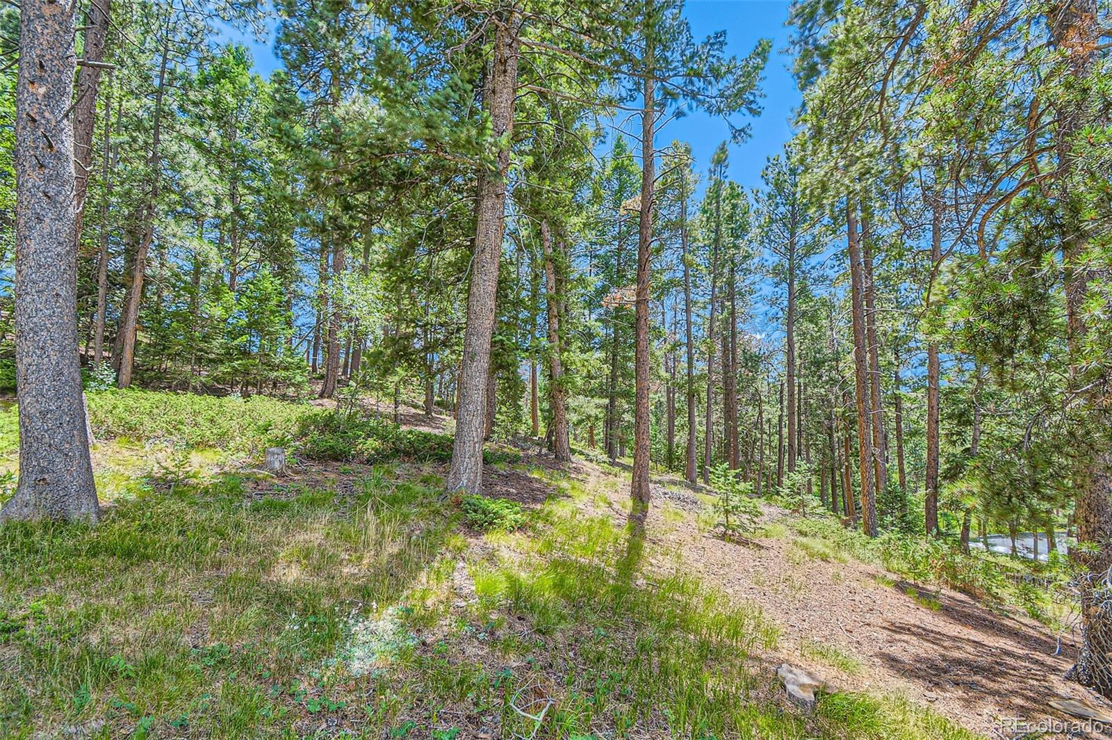 MLS Image #44 for 11034  cordingly road,conifer, Colorado