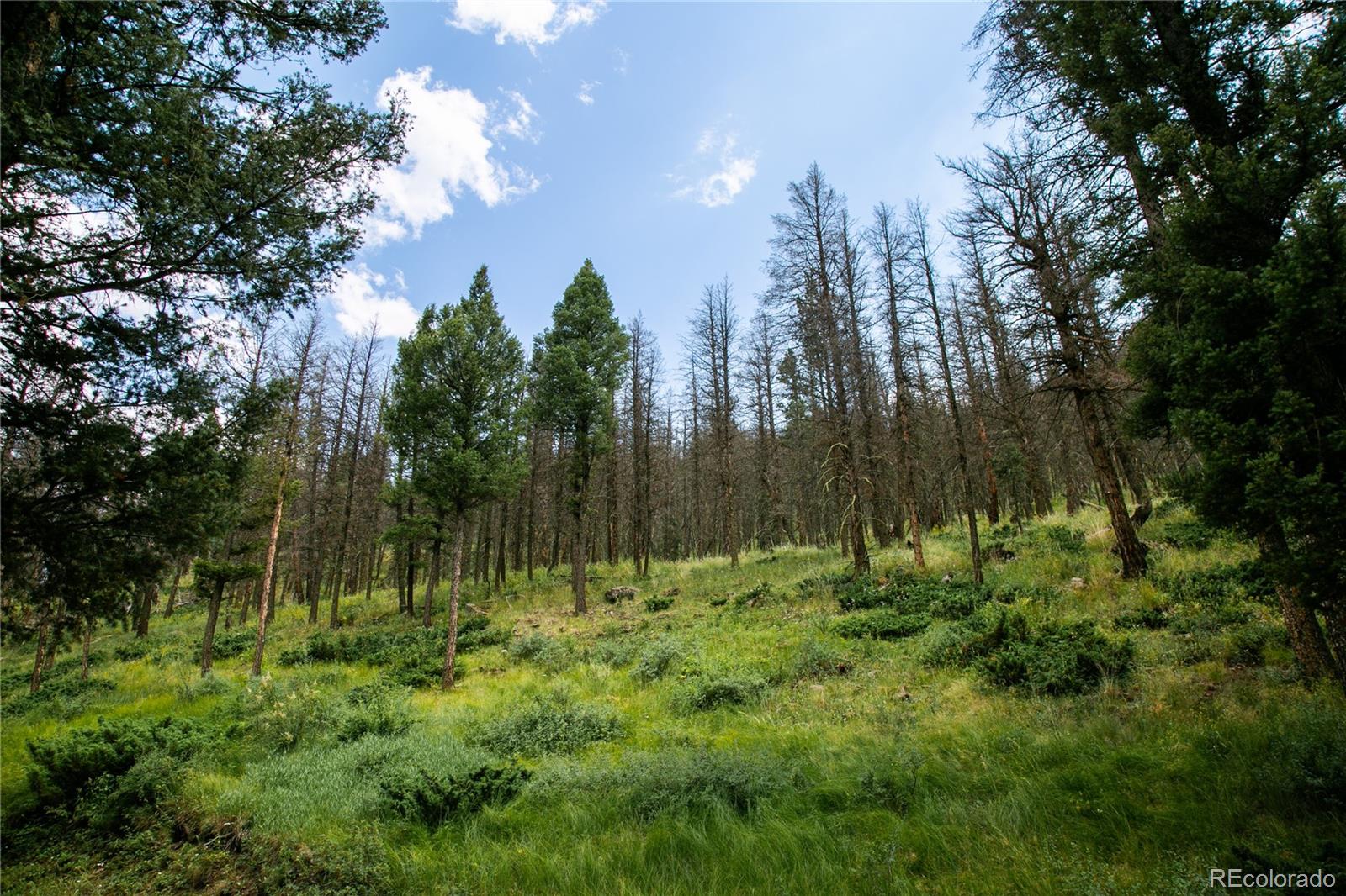 MLS Image #44 for 40  stagecoach drive,south fork, Colorado