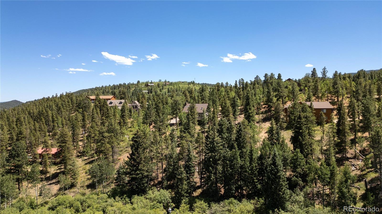 MLS Image #39 for 1286  clark road,bailey, Colorado