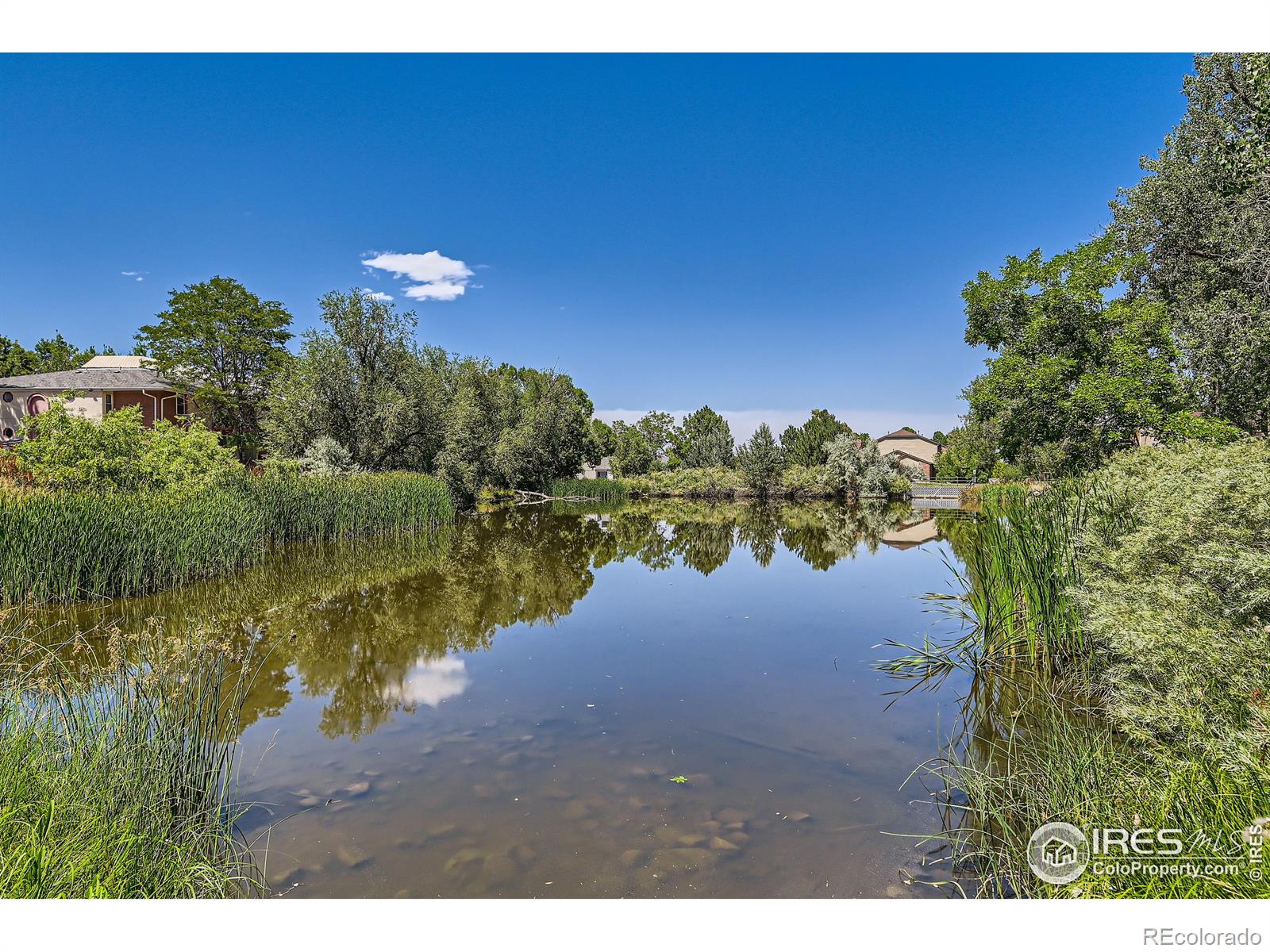 MLS Image #28 for 12163  melody drive,denver, Colorado