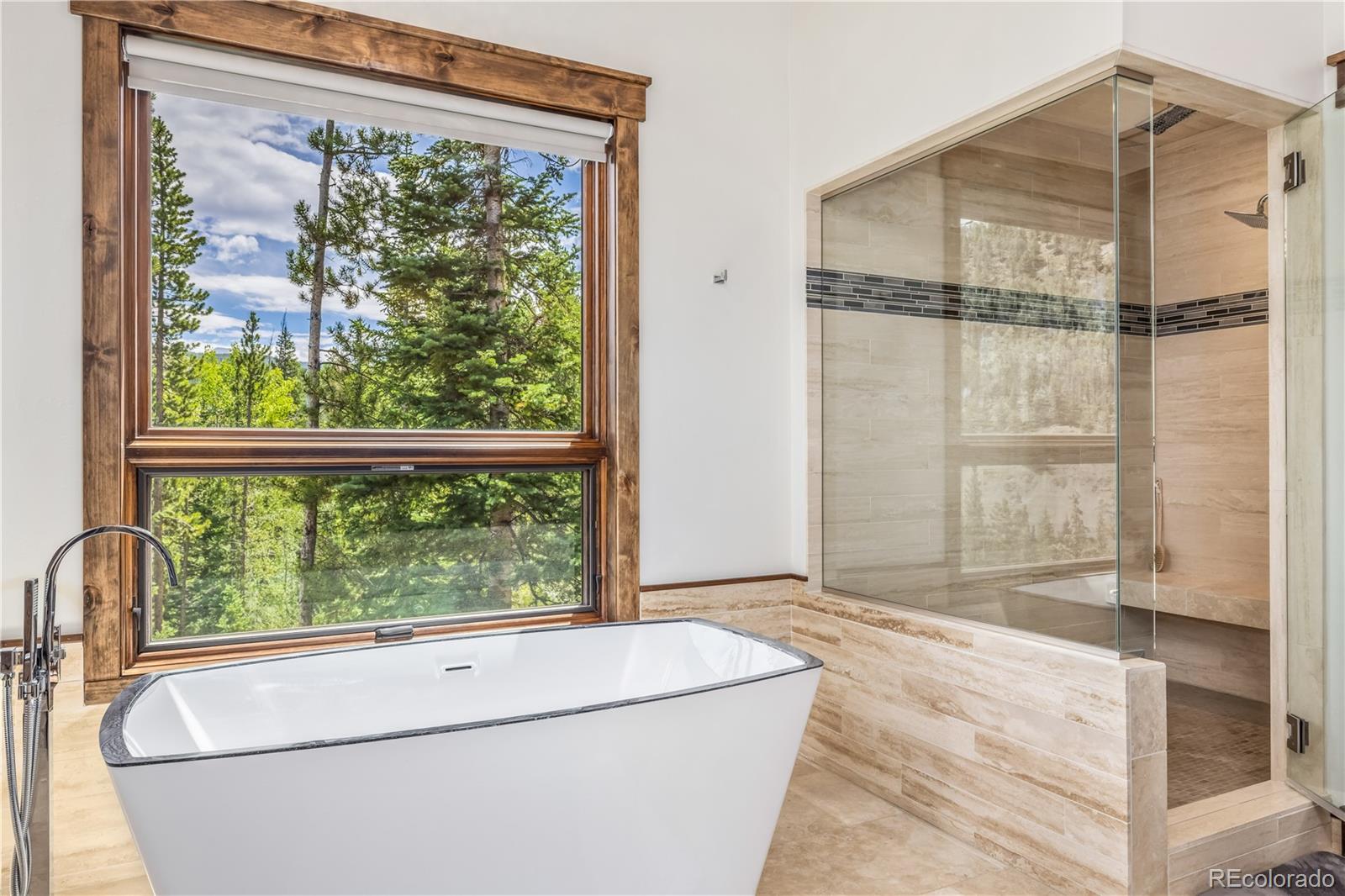 MLS Image #24 for 788  preston way,breckenridge, Colorado