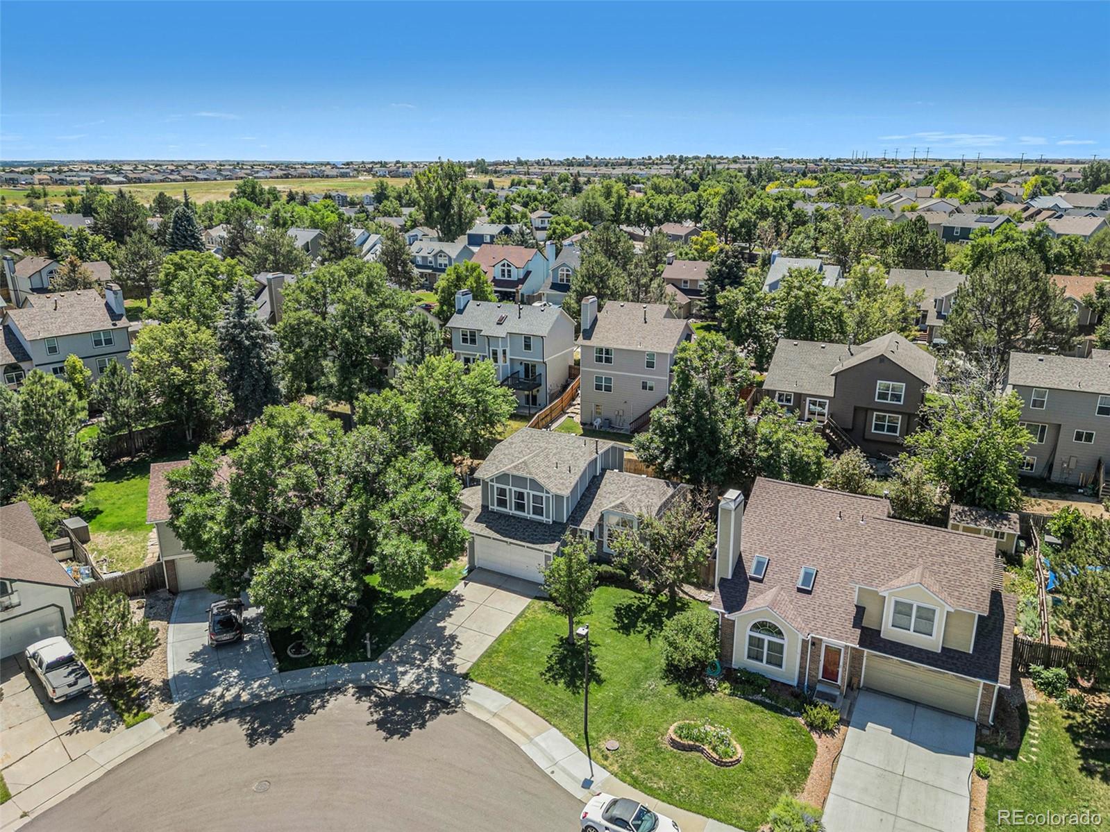 CMA Image for 5501 e courtney avenue,Castle Rock, Colorado