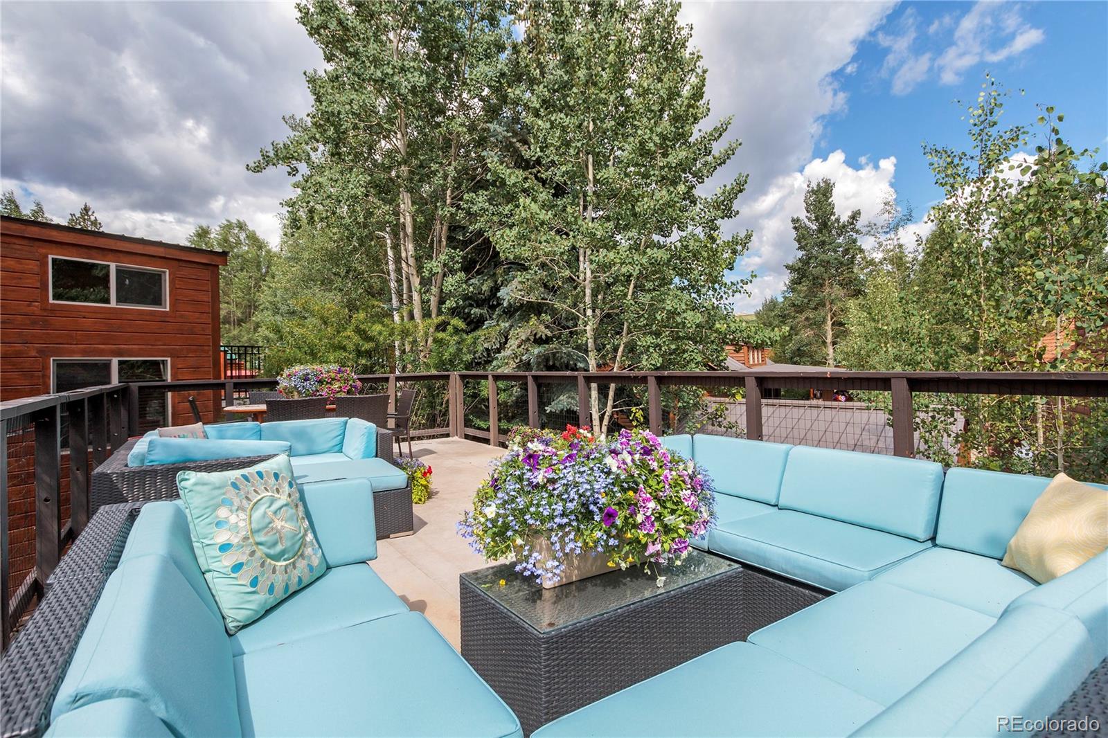 MLS Image #27 for 85  revett drive,breckenridge, Colorado