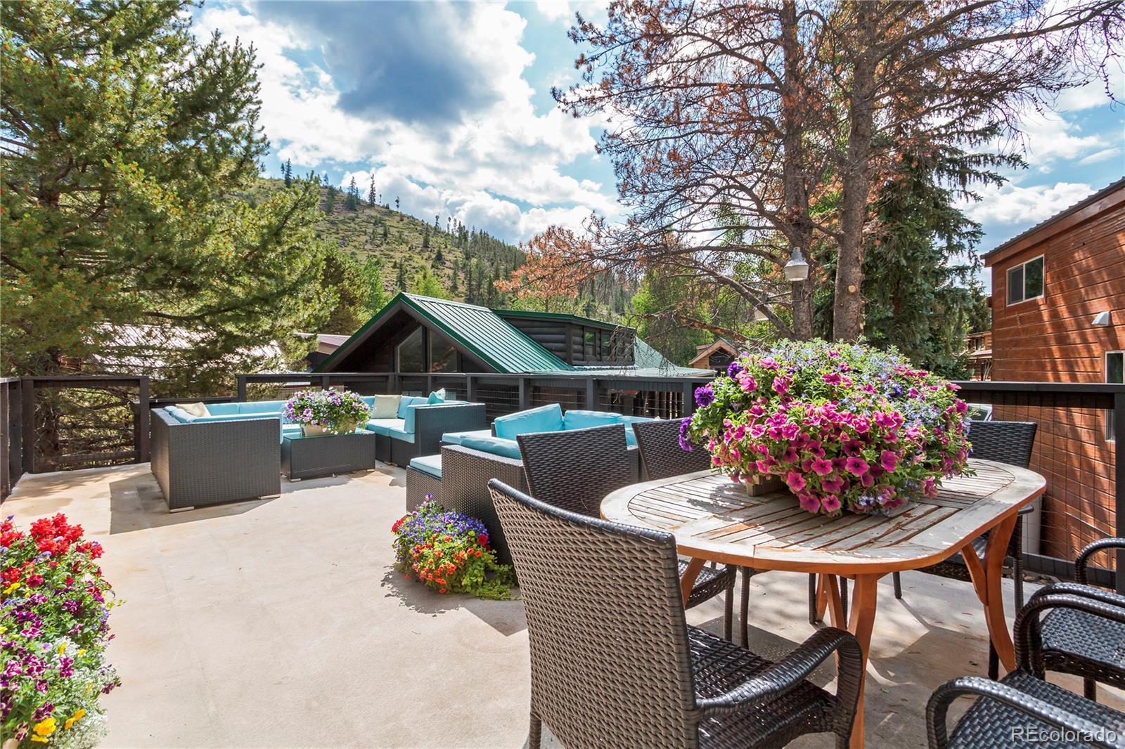 MLS Image #28 for 85  revett drive,breckenridge, Colorado