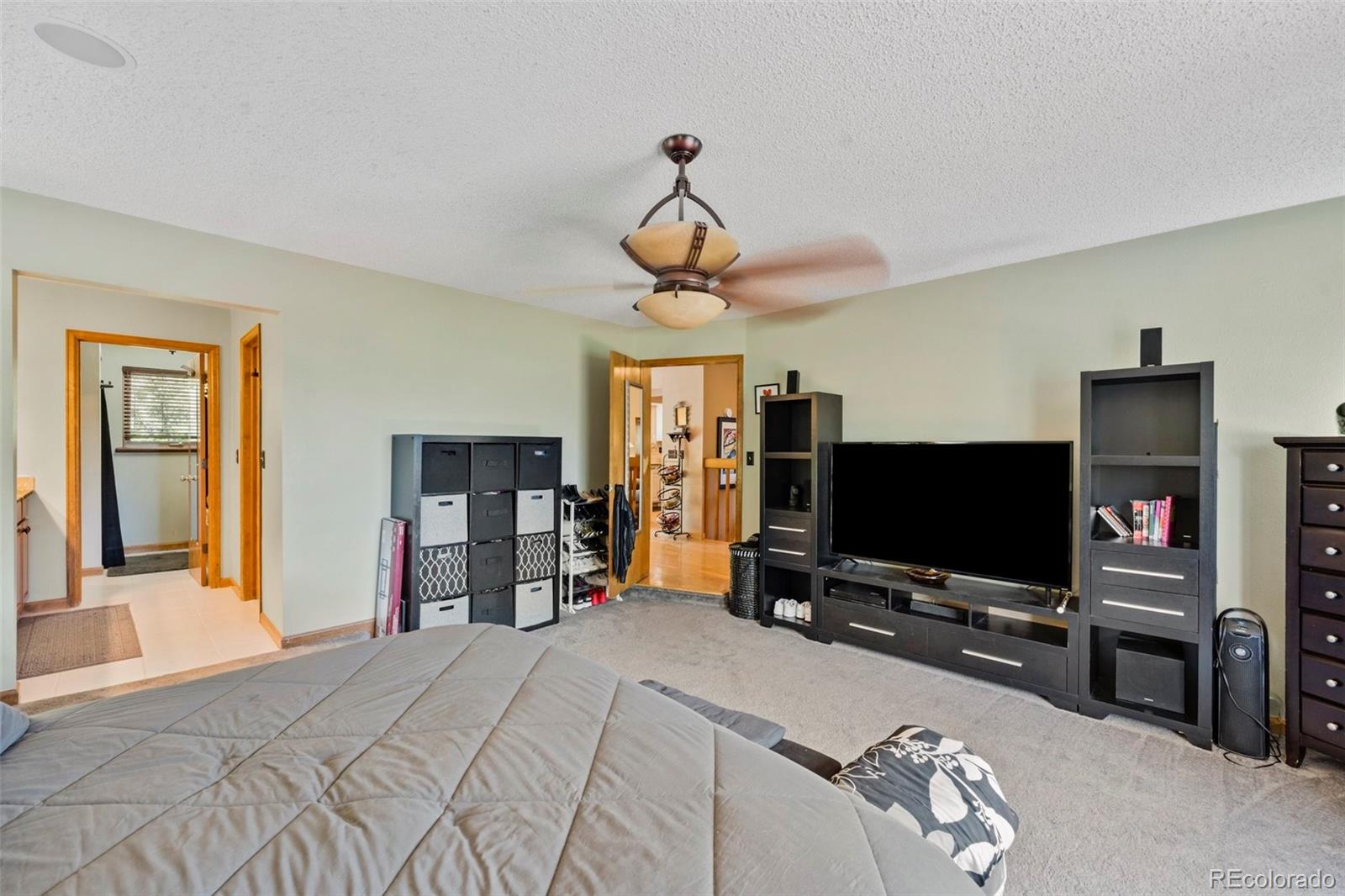 MLS Image #10 for 17235  fairplay drive,monument, Colorado