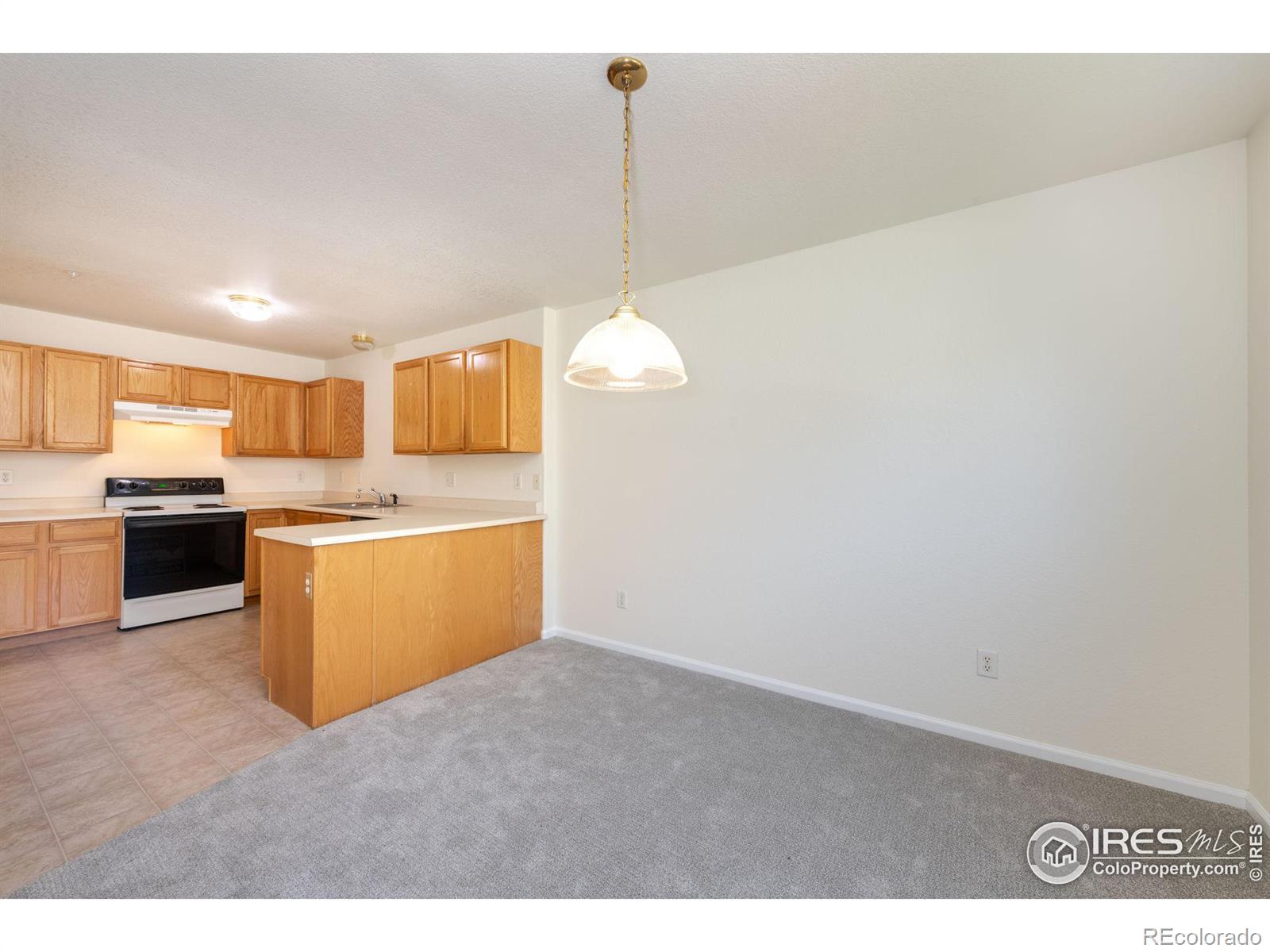 MLS Image #10 for 1601  great western drive,longmont, Colorado