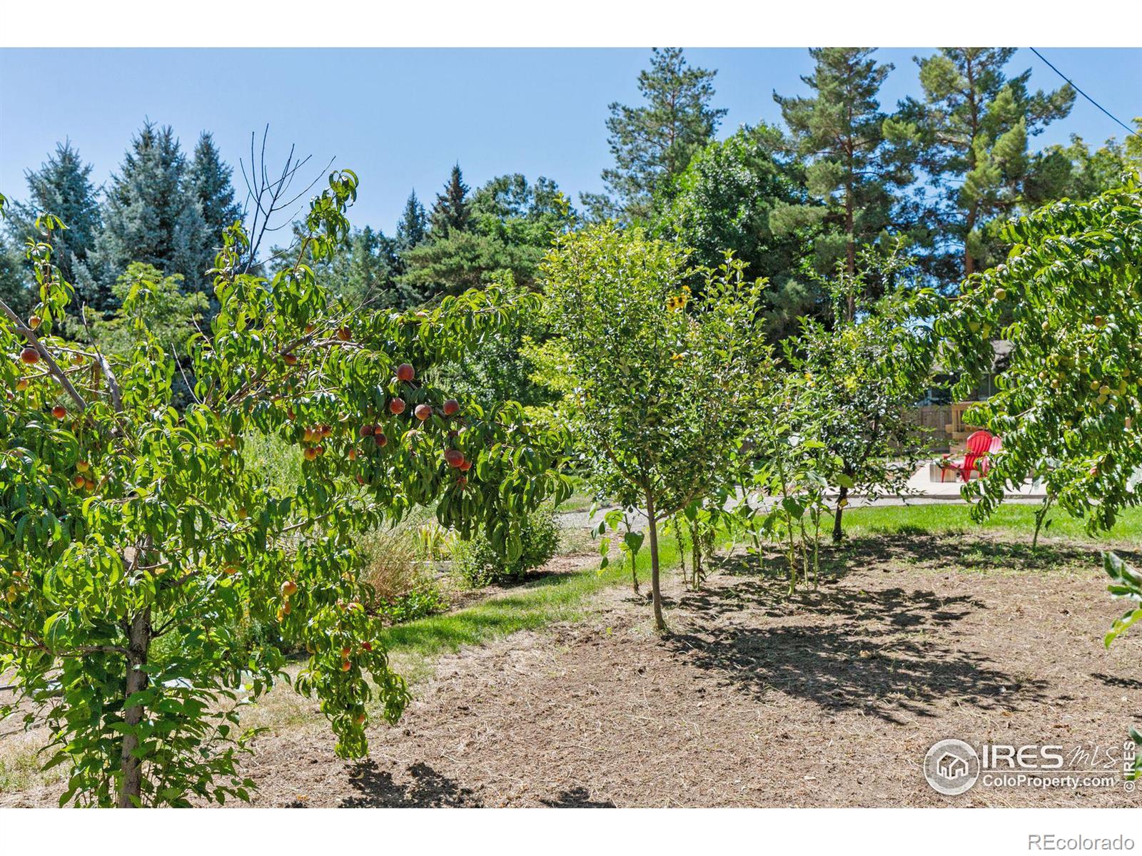 MLS Image #36 for 6848  audubon avenue,niwot, Colorado