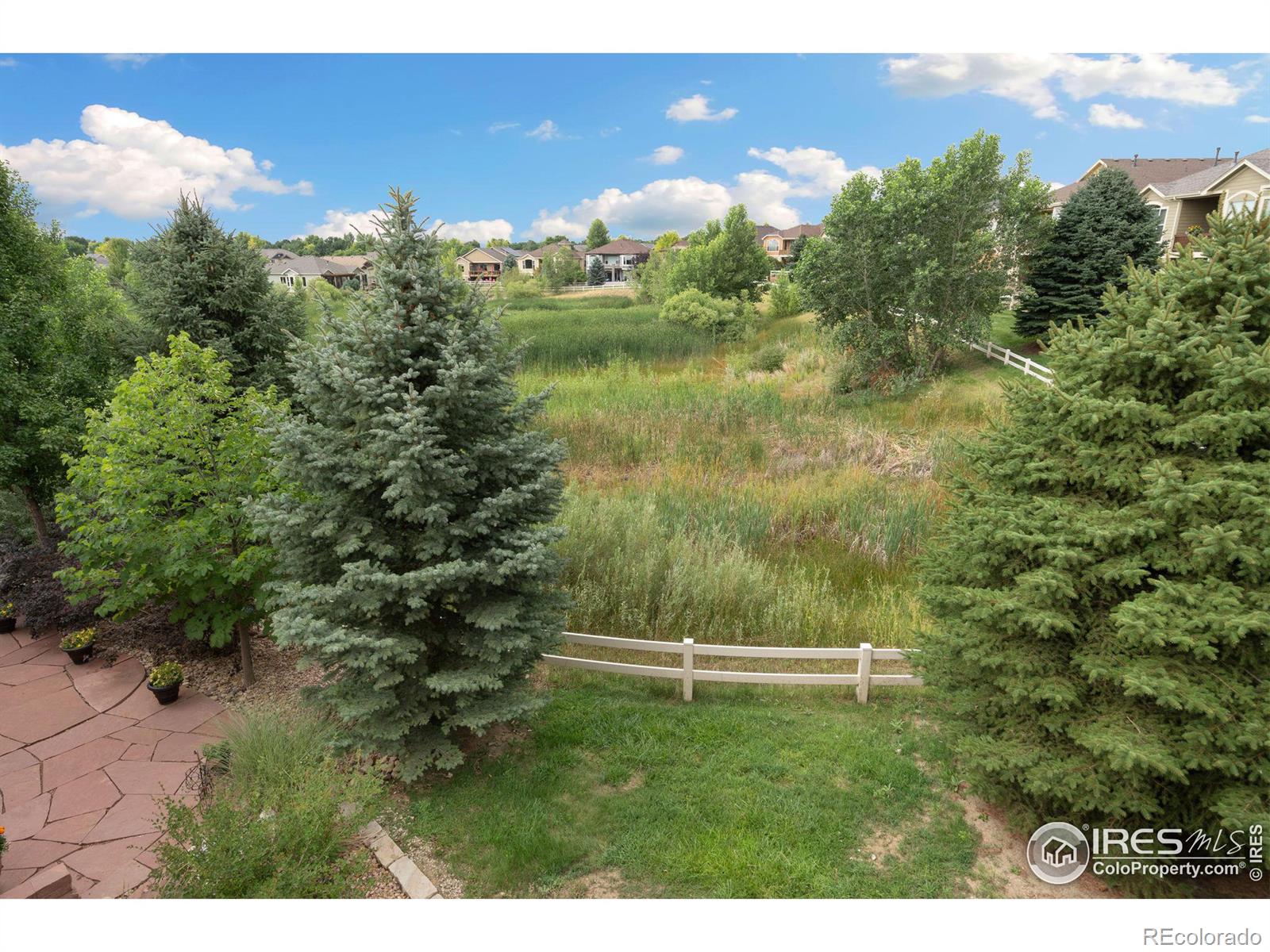 MLS Image #20 for 5251  apricot drive,loveland, Colorado