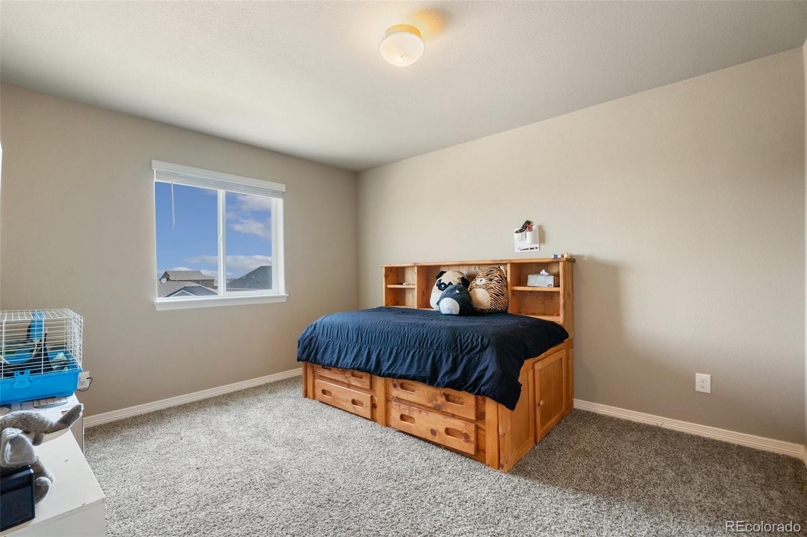 MLS Image #26 for 12694  windingwalk drive,peyton, Colorado