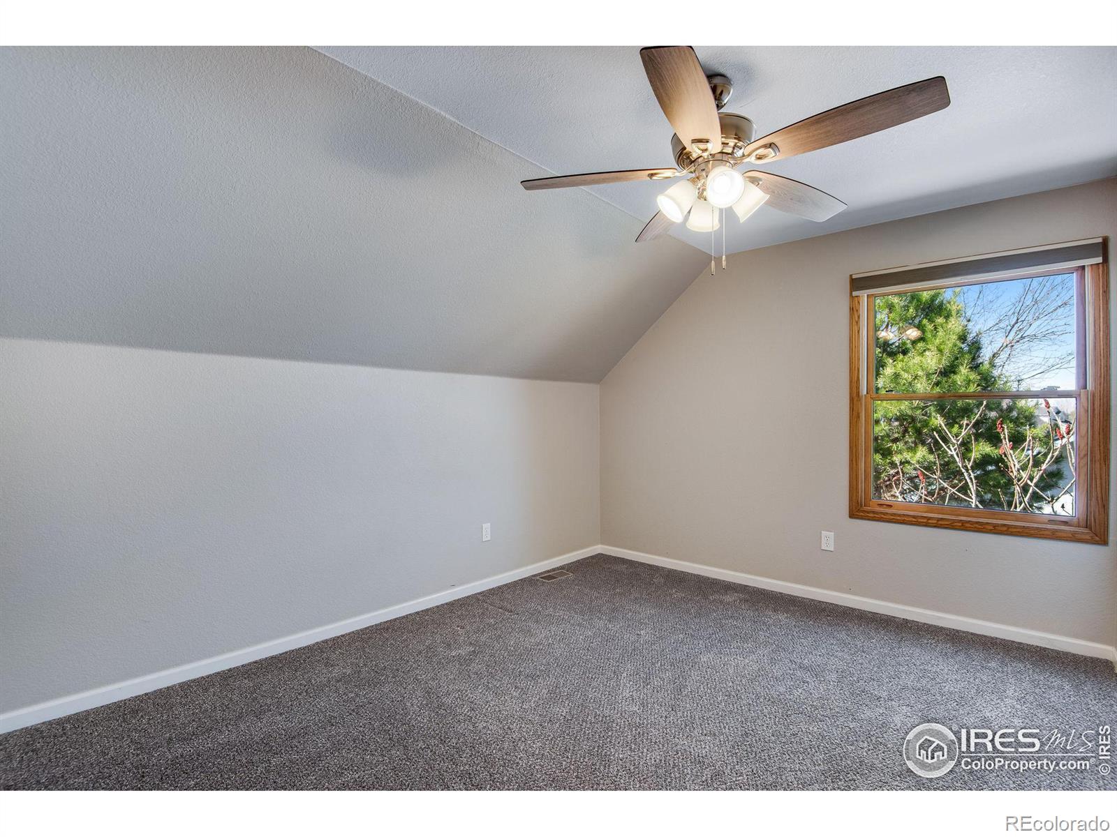 MLS Image #18 for 260  mulberry drive,windsor, Colorado