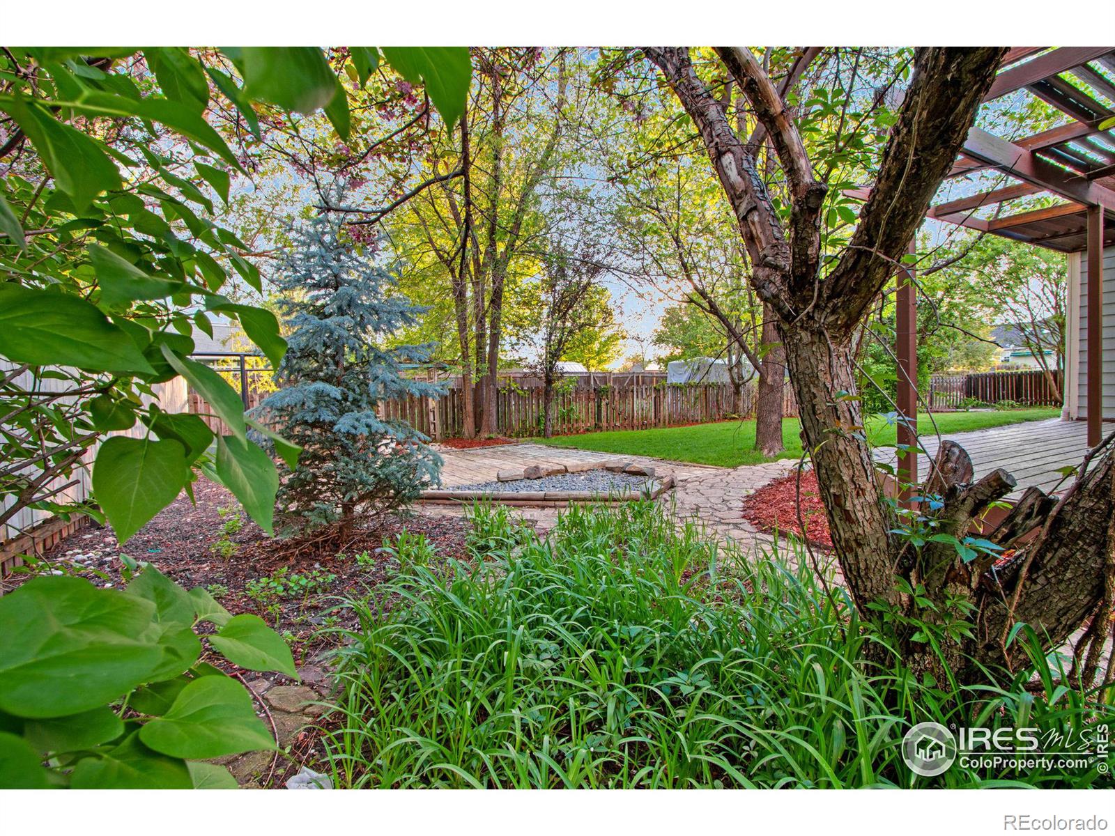 MLS Image #24 for 260  mulberry drive,windsor, Colorado