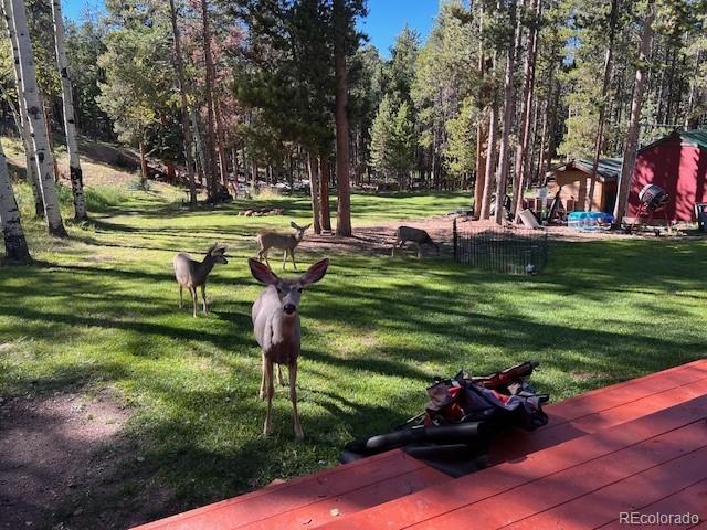 MLS Image #46 for 9149  krashin drive,conifer, Colorado