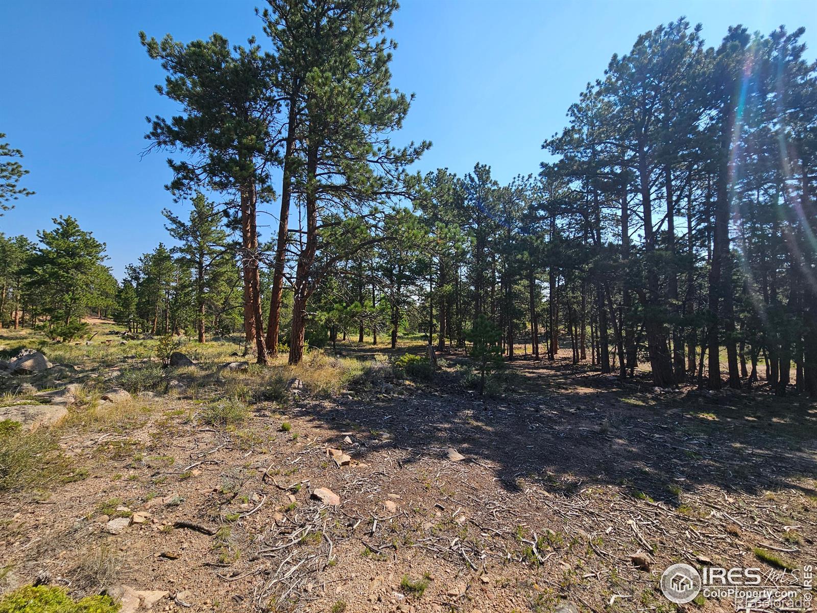 MLS Image #20 for 88  pocahontas highway,red feather lakes, Colorado