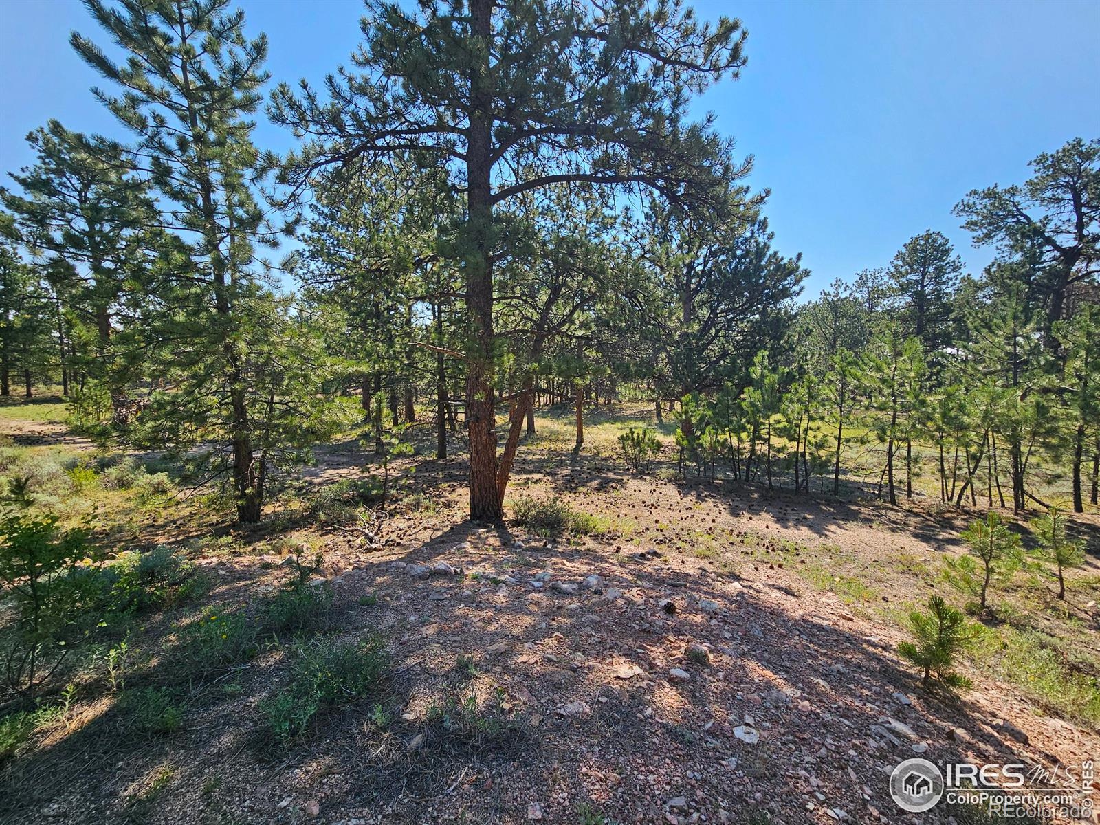 MLS Image #21 for 88  pocahontas highway,red feather lakes, Colorado