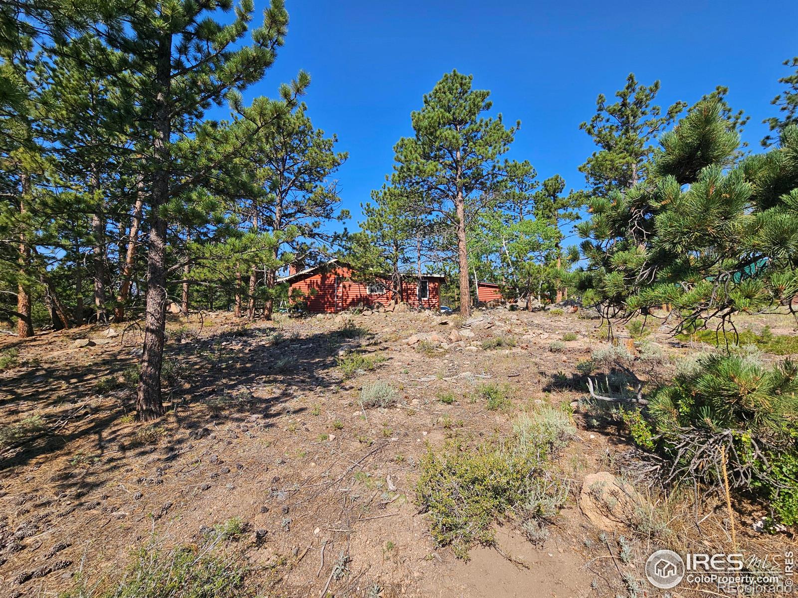 MLS Image #24 for 88  pocahontas highway,red feather lakes, Colorado