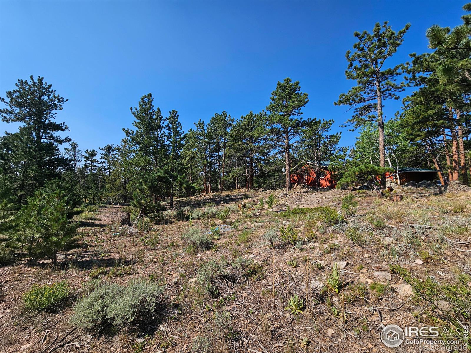 MLS Image #25 for 88  pocahontas highway,red feather lakes, Colorado