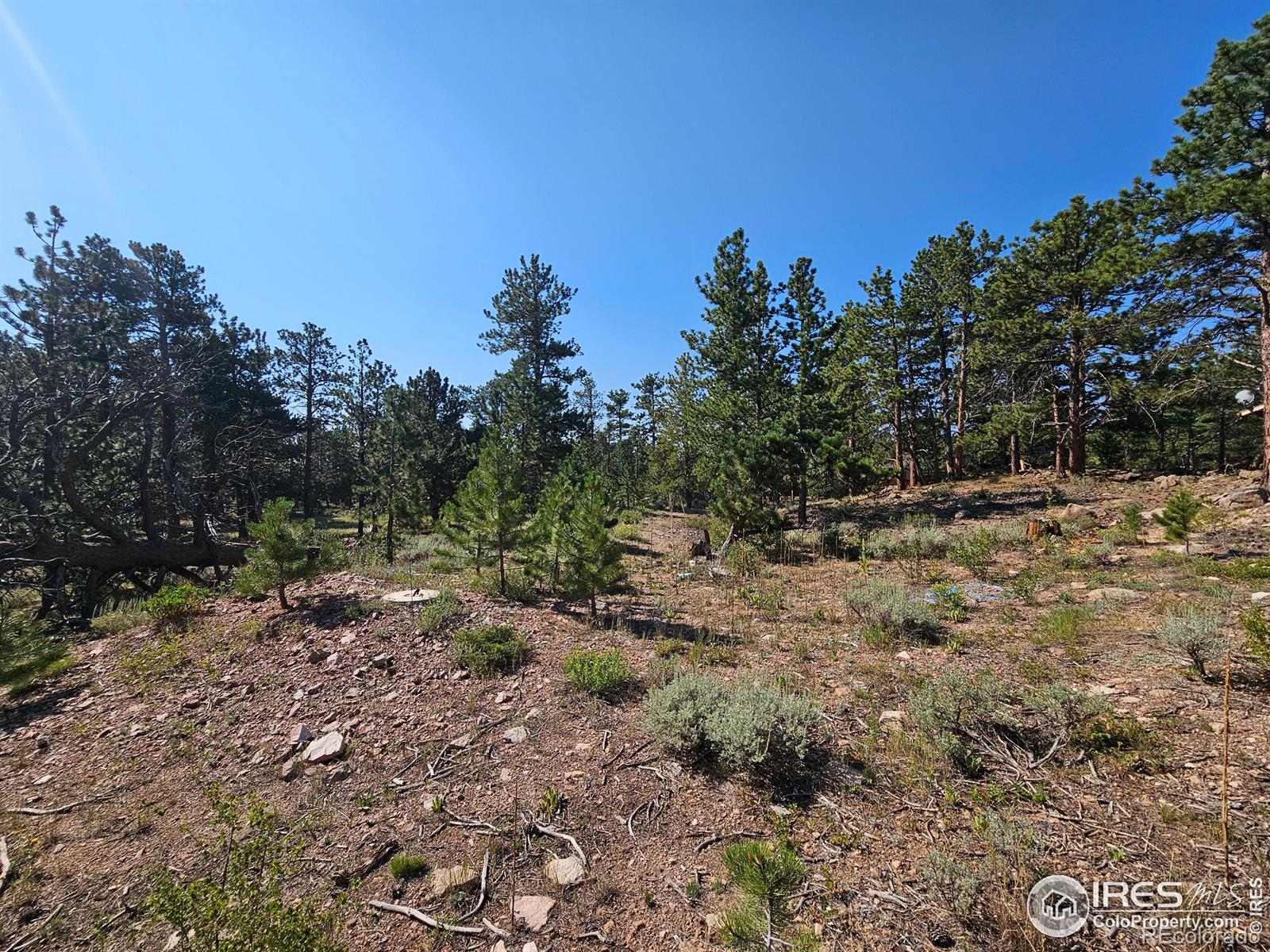 MLS Image #26 for 88  pocahontas highway,red feather lakes, Colorado